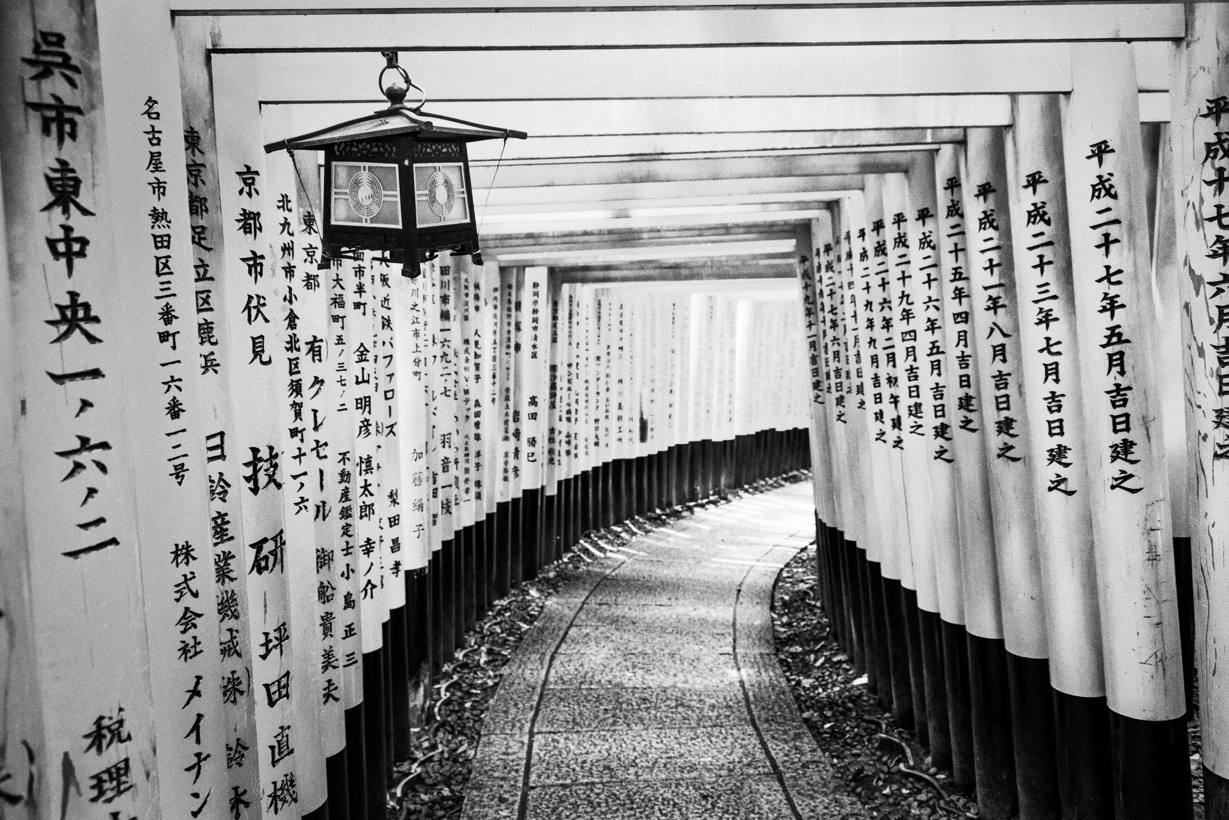 850_8171-Edit.jpg