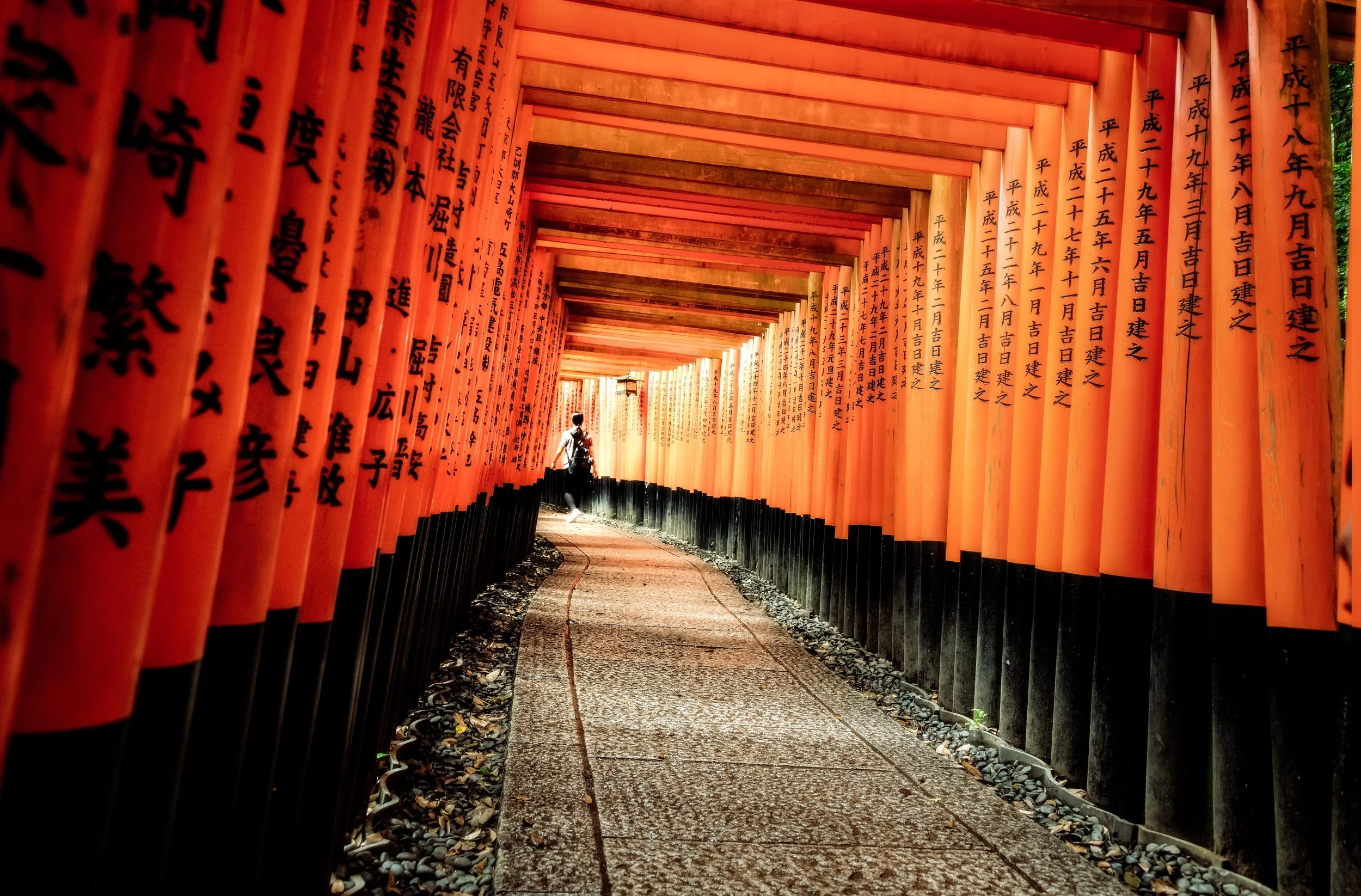 850_8231-Edit.jpg