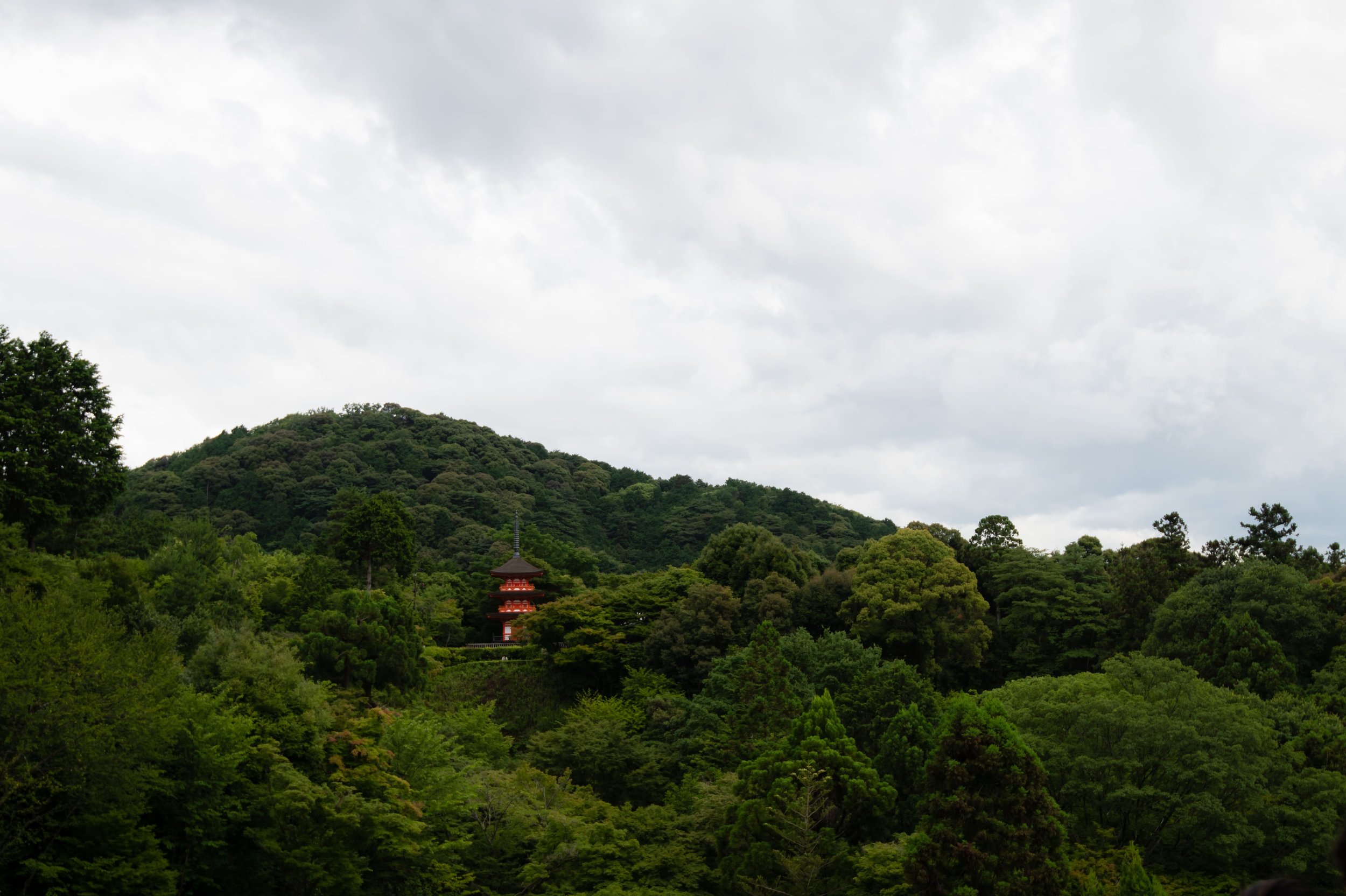 850_8347.jpg