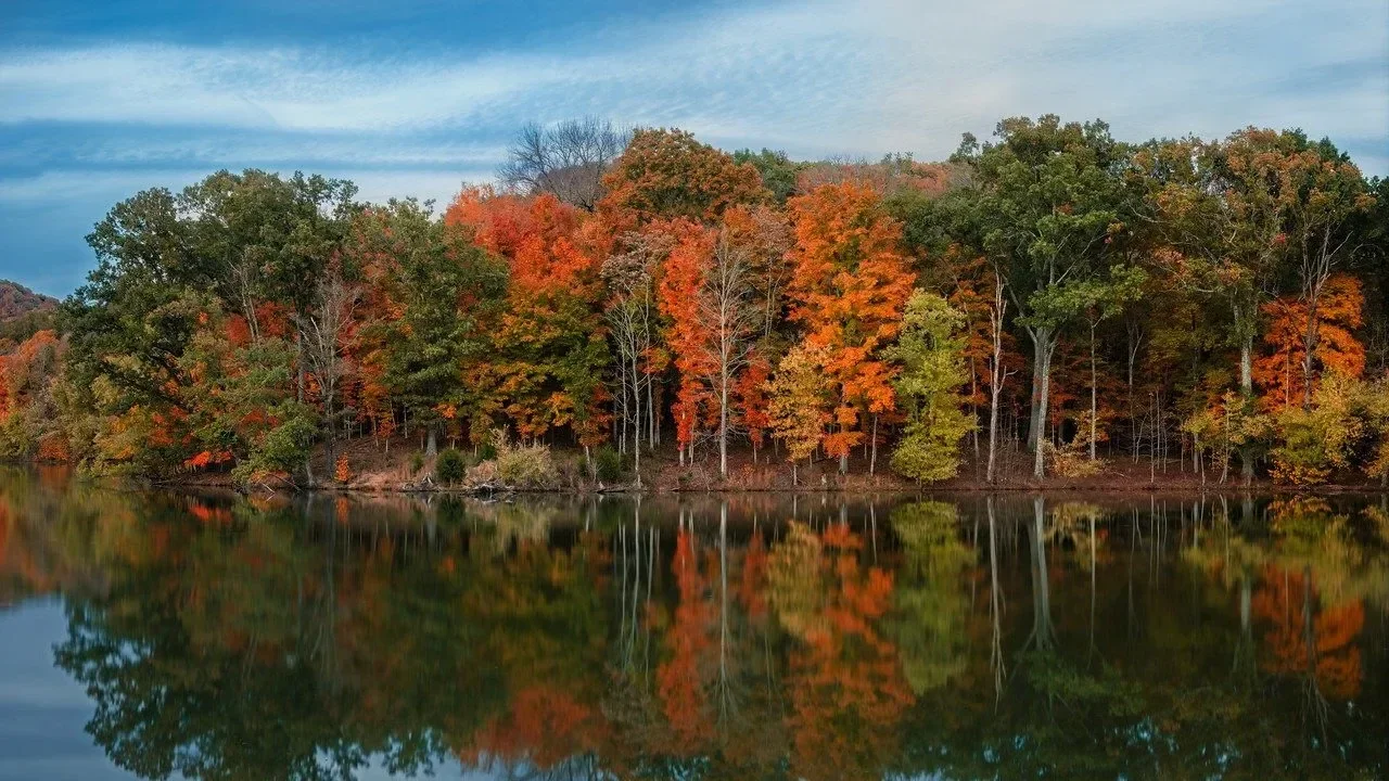 A lake reflecting a forest with autumn-colored trees under a blue sky.