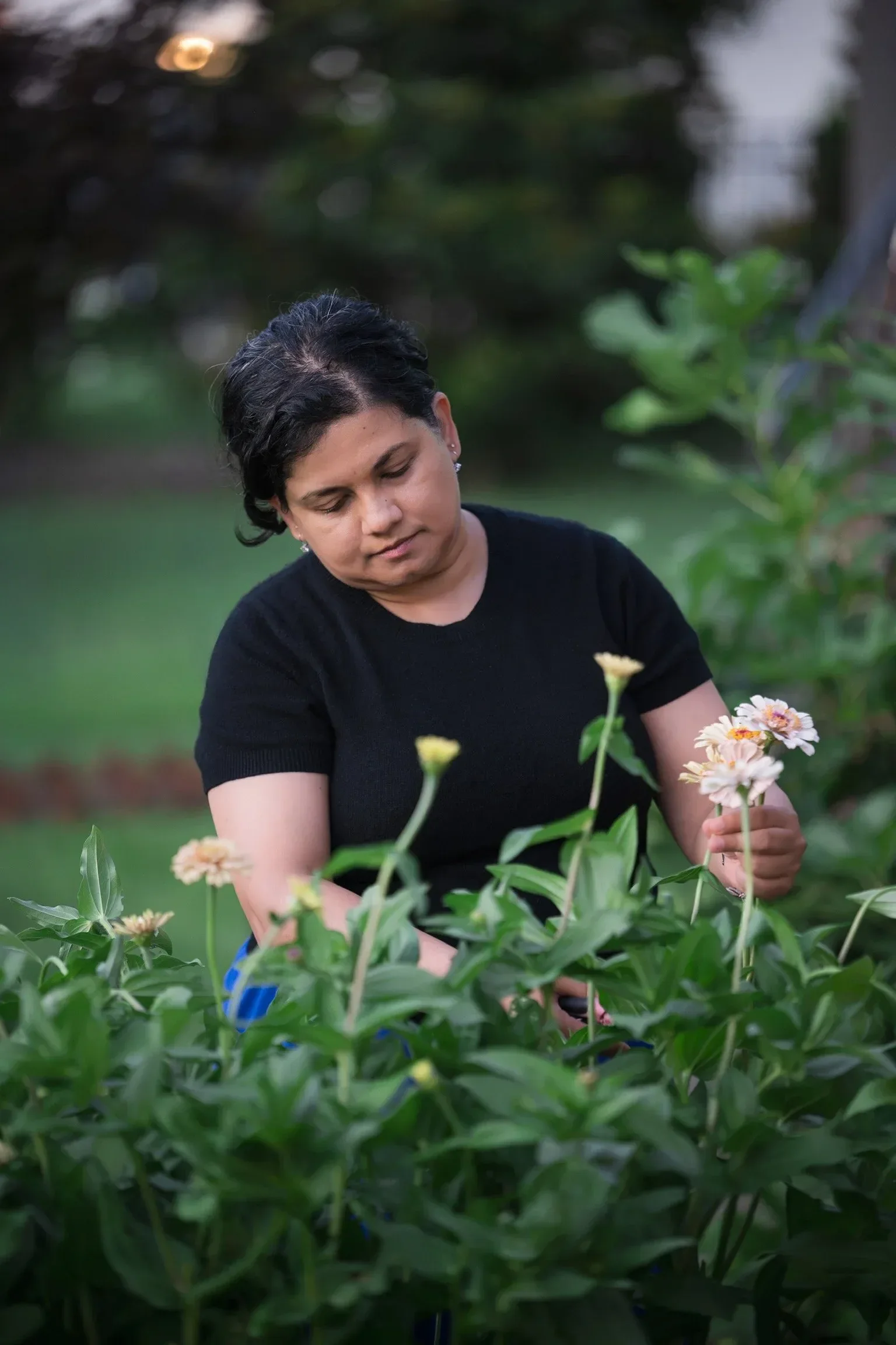 A woman with short dark hair, wearing a black shirt, is tending to pink and white flowers in a garden during the daytime.