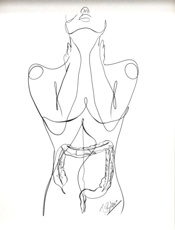 Line Drawing of a Women showing her digestive system
