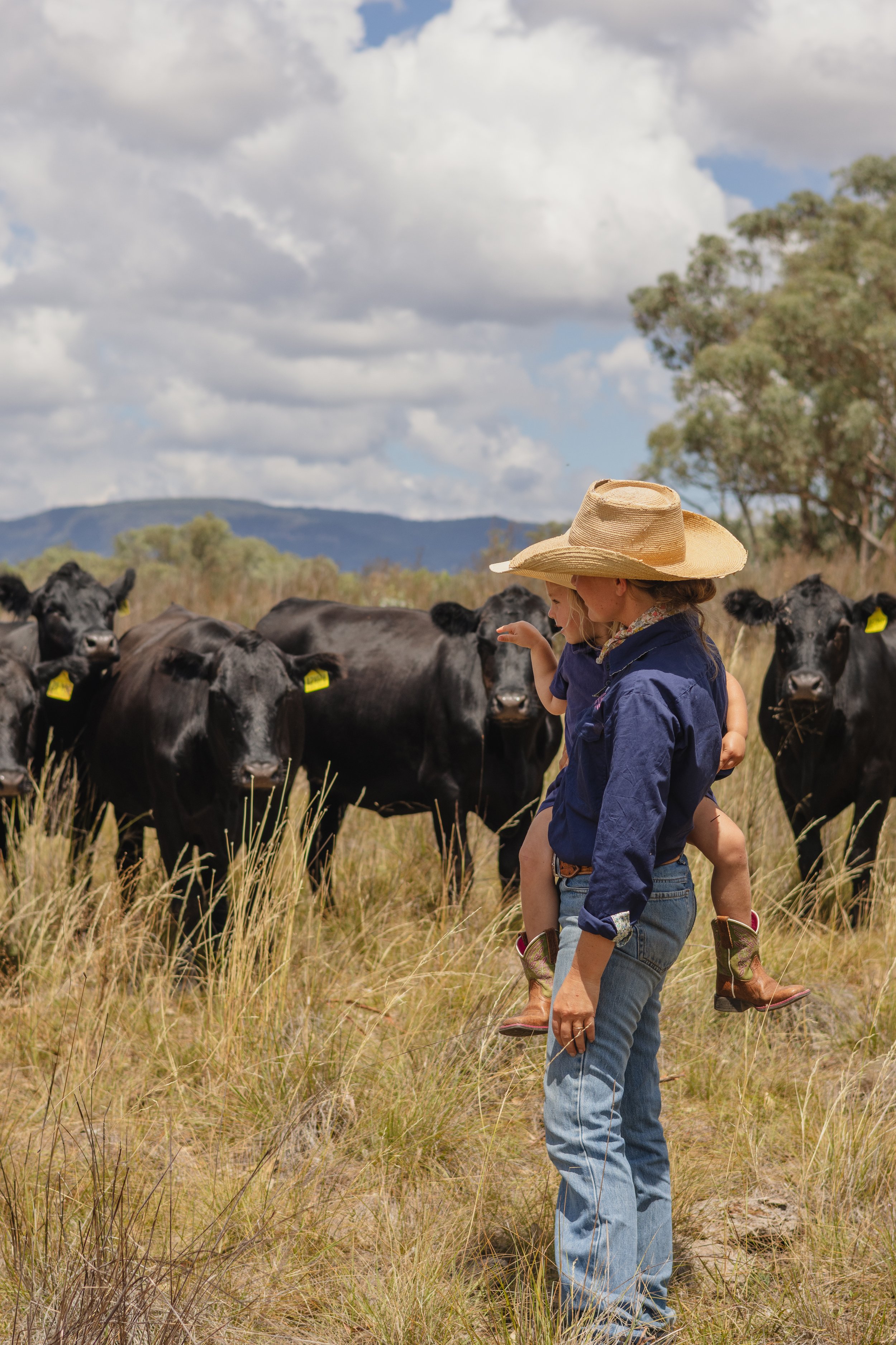 A person in jeans and a cowboy hat carrying a child on their back, standing in a grassy field near black cows with yellow ear tags, under a cloudy sky with trees and mountains in the background.