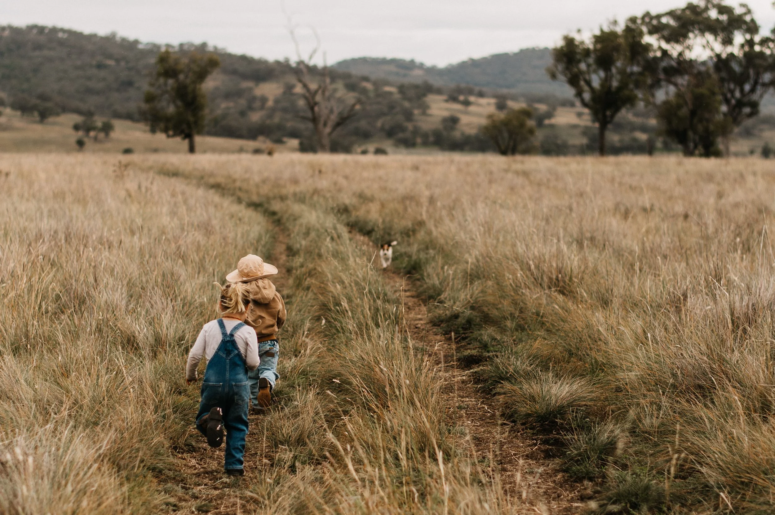 Children walking with dog in grass field