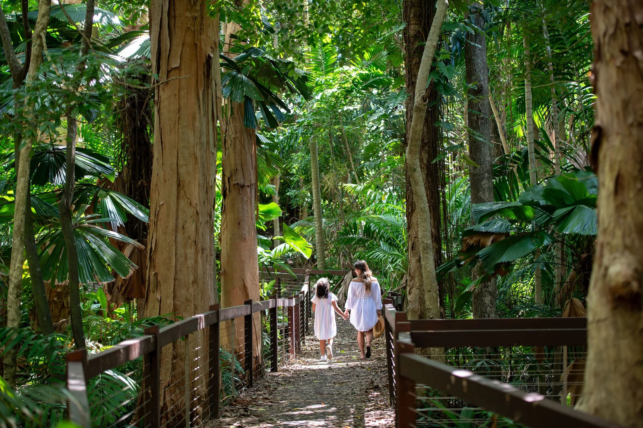 JungleBoardwalk_01.jpg