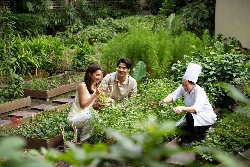 HerbGarden_02.jpg