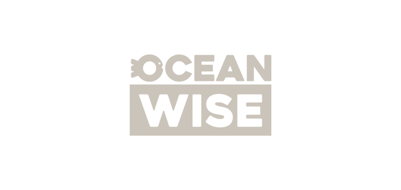 Oceanwise logo