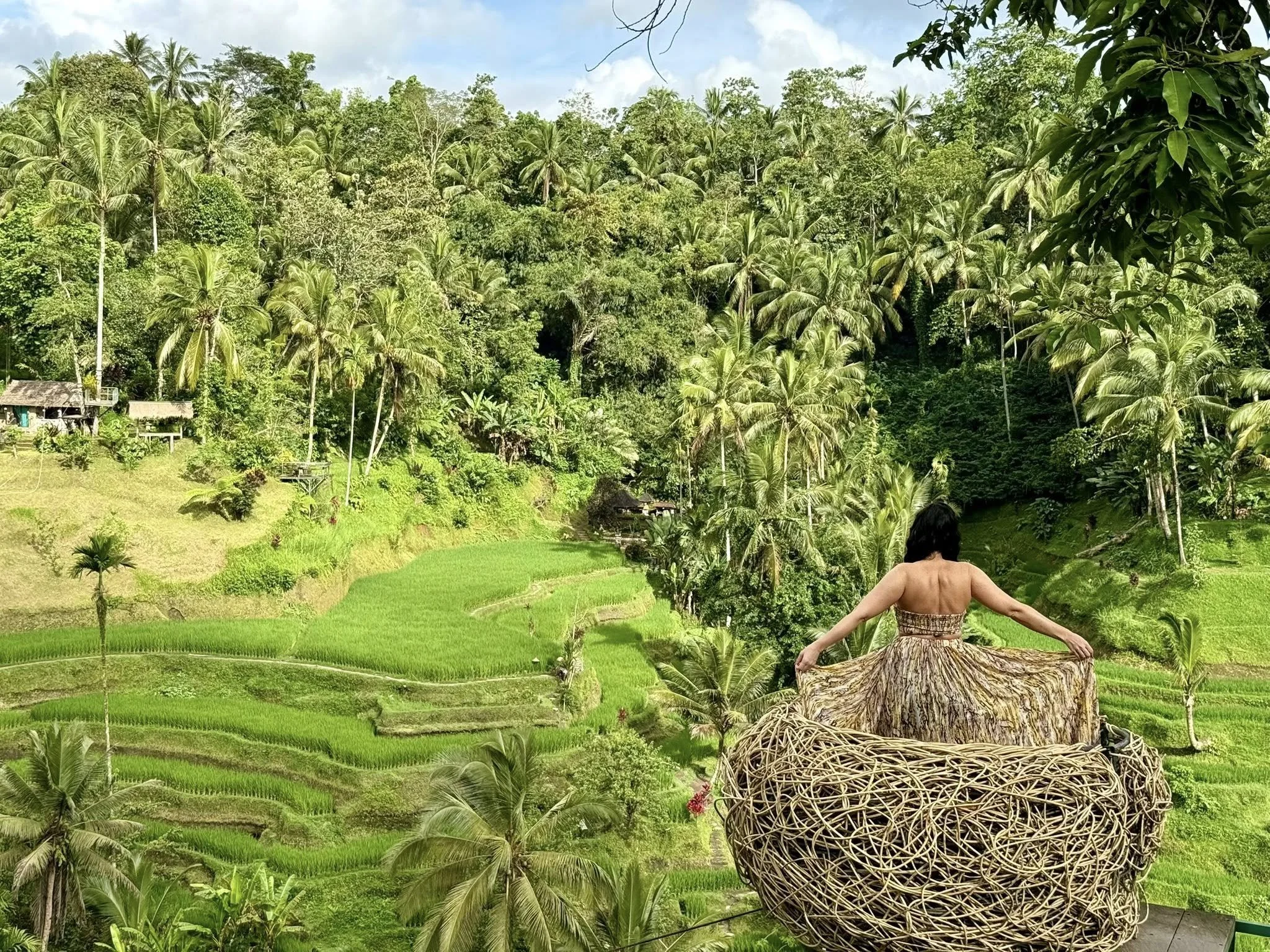 March 2026 Newsletter & Travel Deals- 🌷Spring Travel Deals Have Sprung!