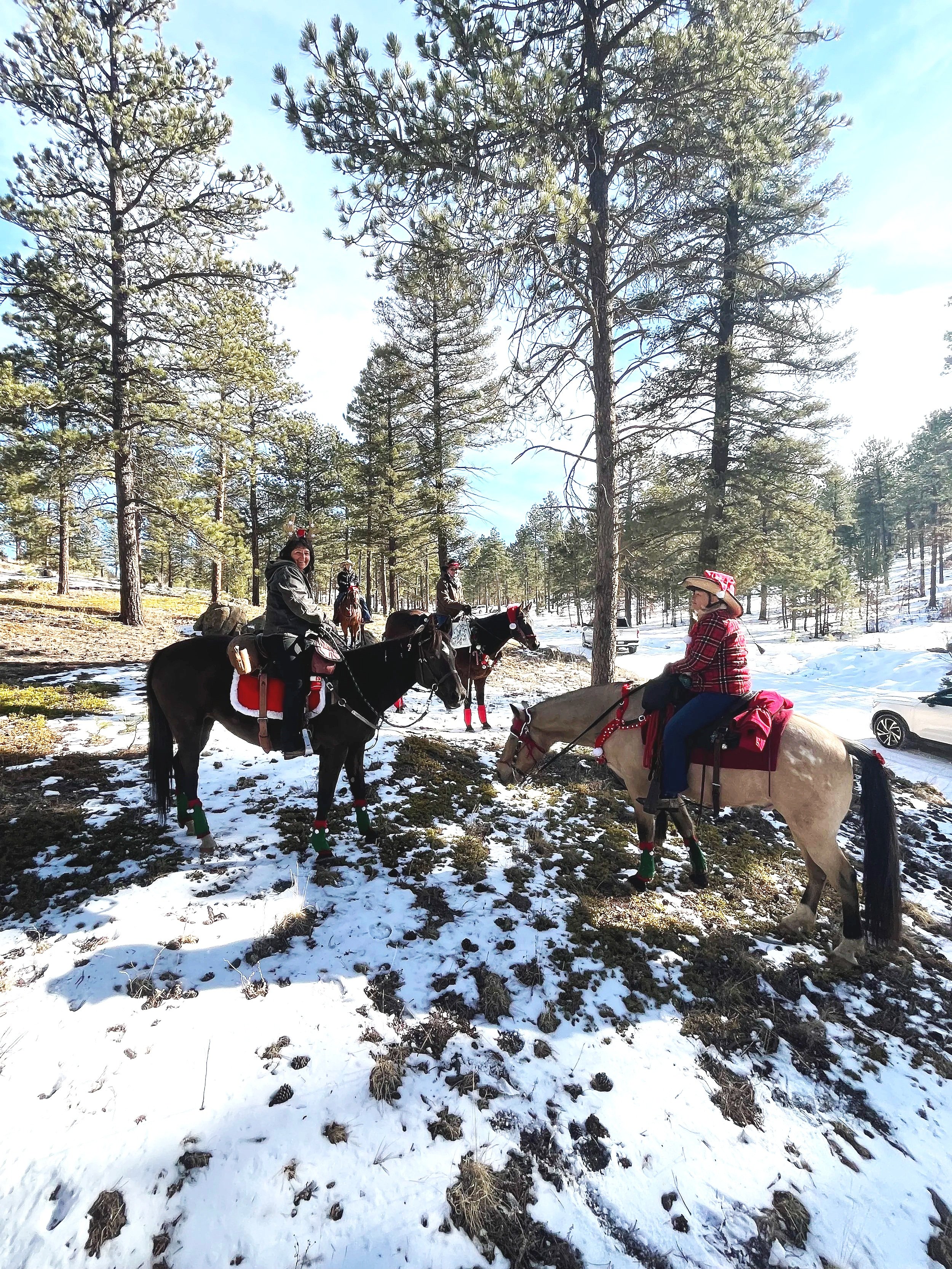 2026 FRBCH Christmas Tree Ambassador Program