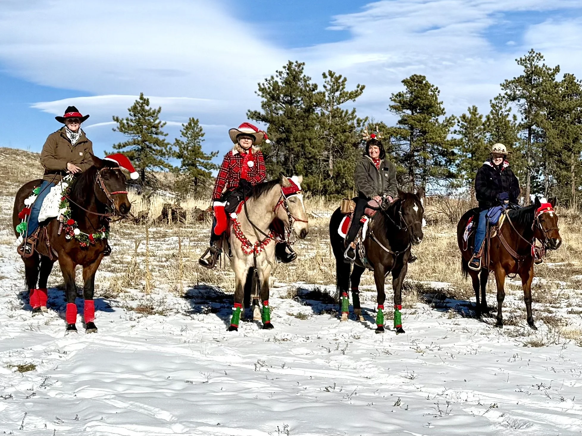 2026 FRBCH Christmas Tree Ambassador Program