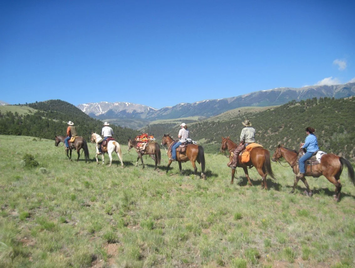 July - No member meeting