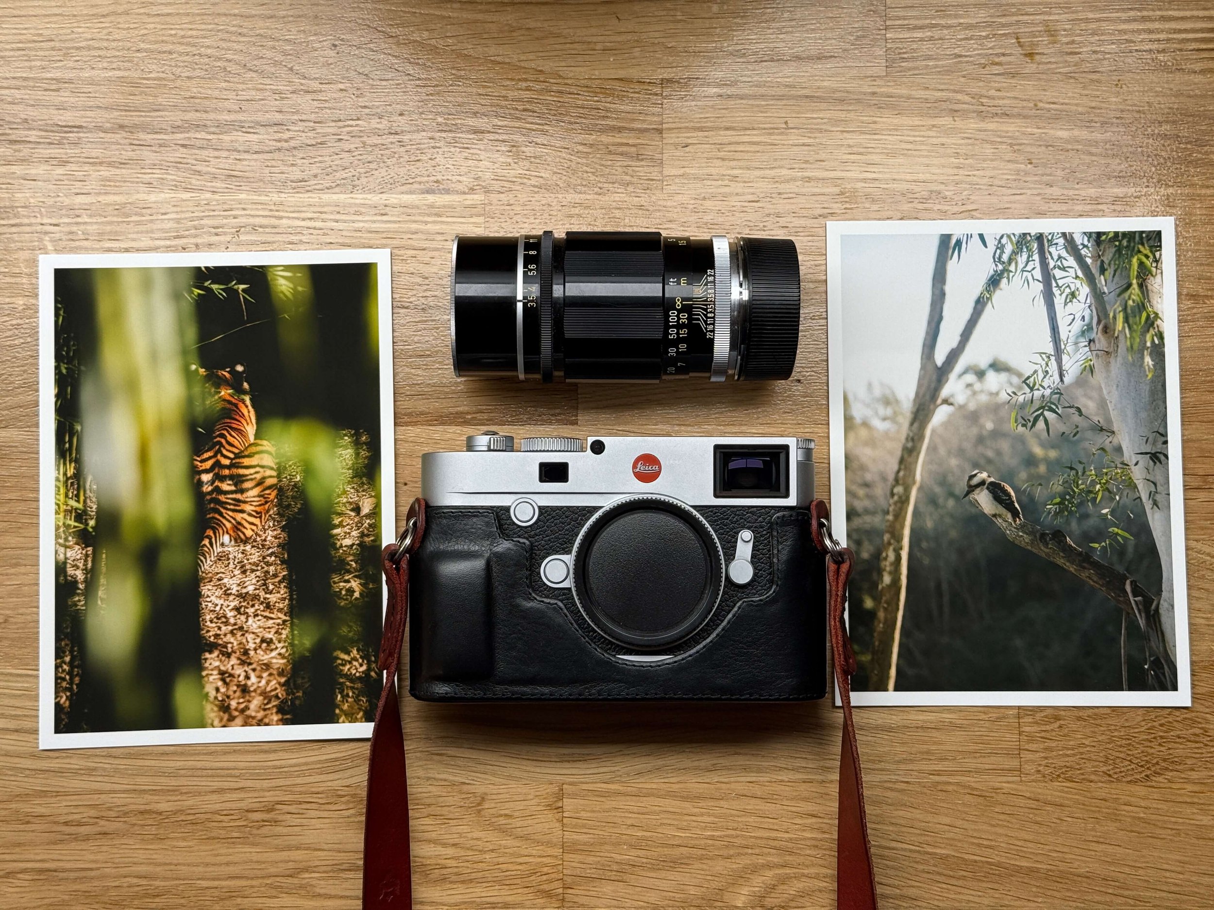 Print your photos