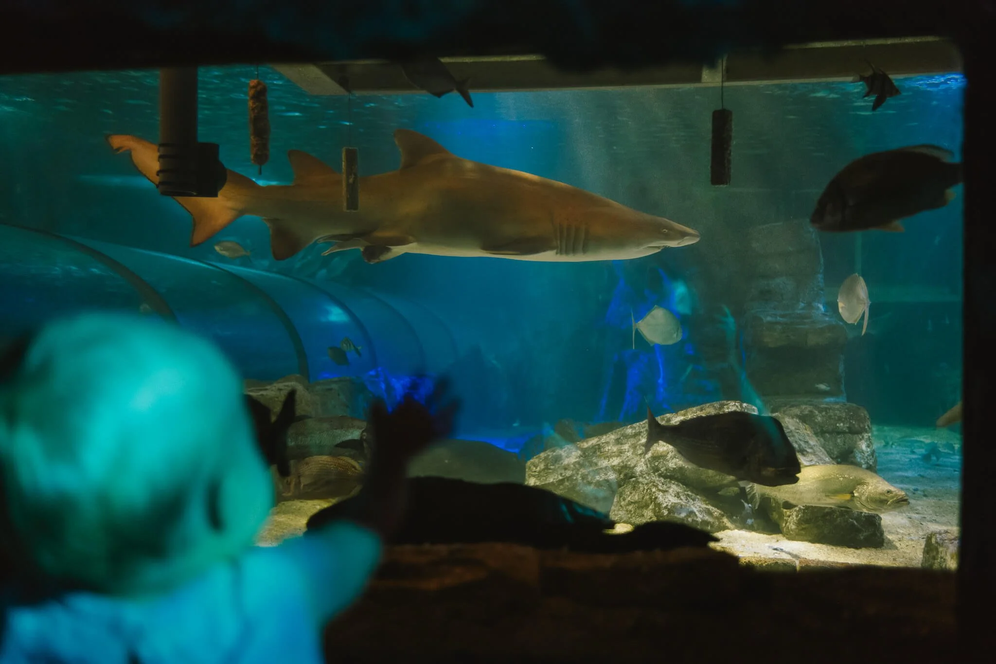 Retrospective September 2025