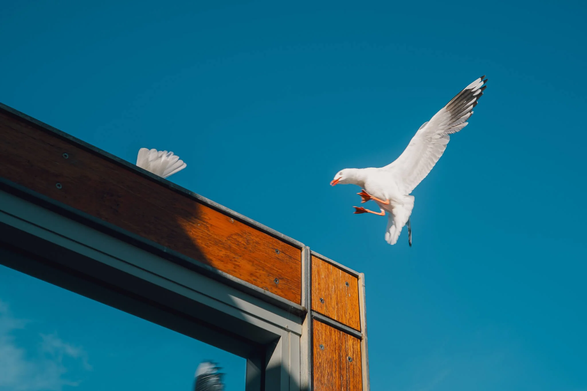 Retrospective December 2025