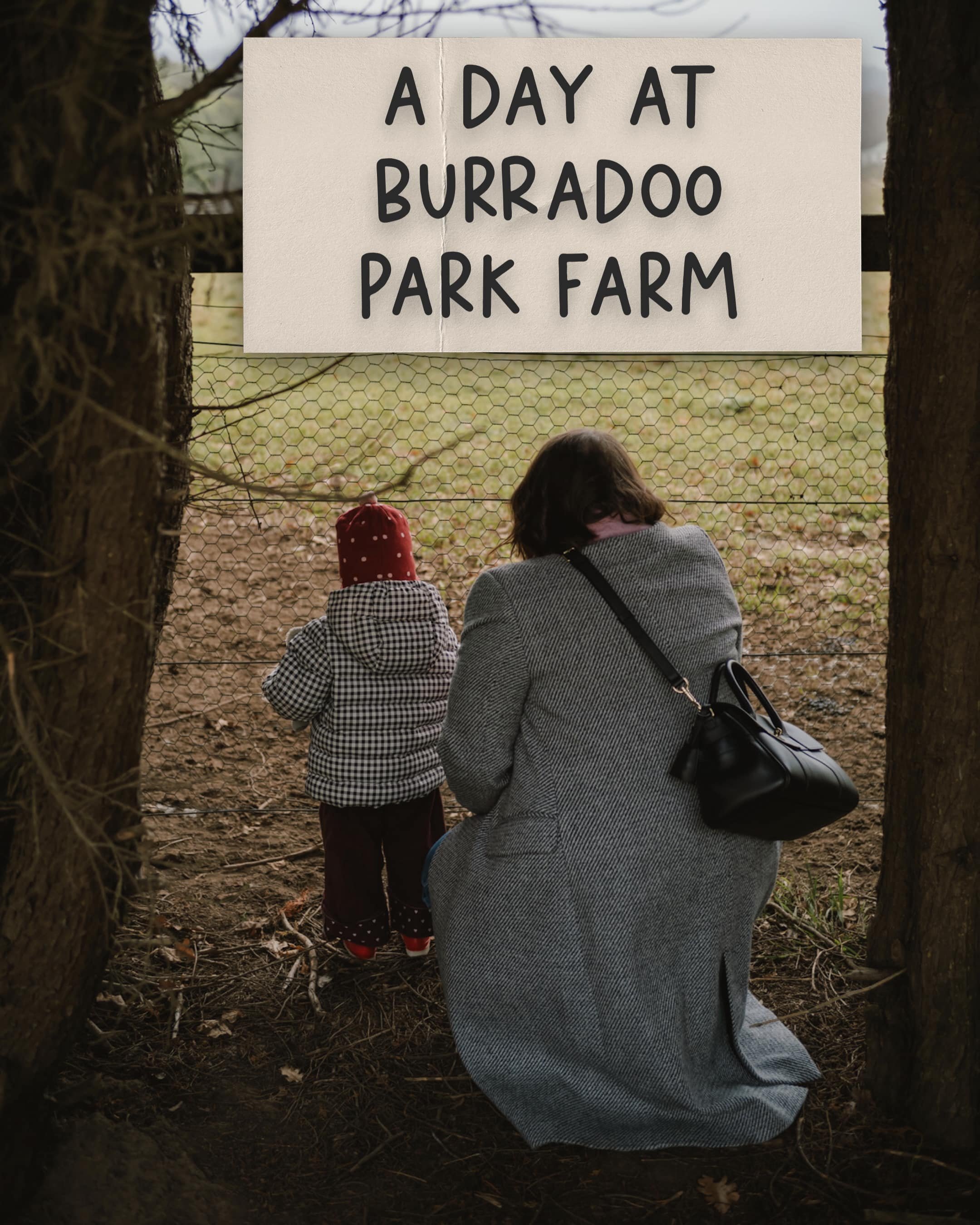 Burradoo_1.jpg