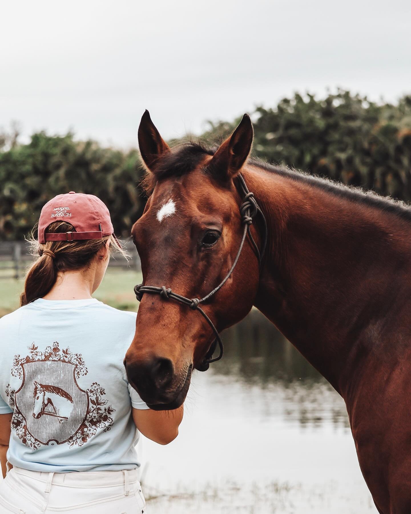 Anytime I spend days away from the barn I remember why I shouldn&rsquo;t 🤎🐴