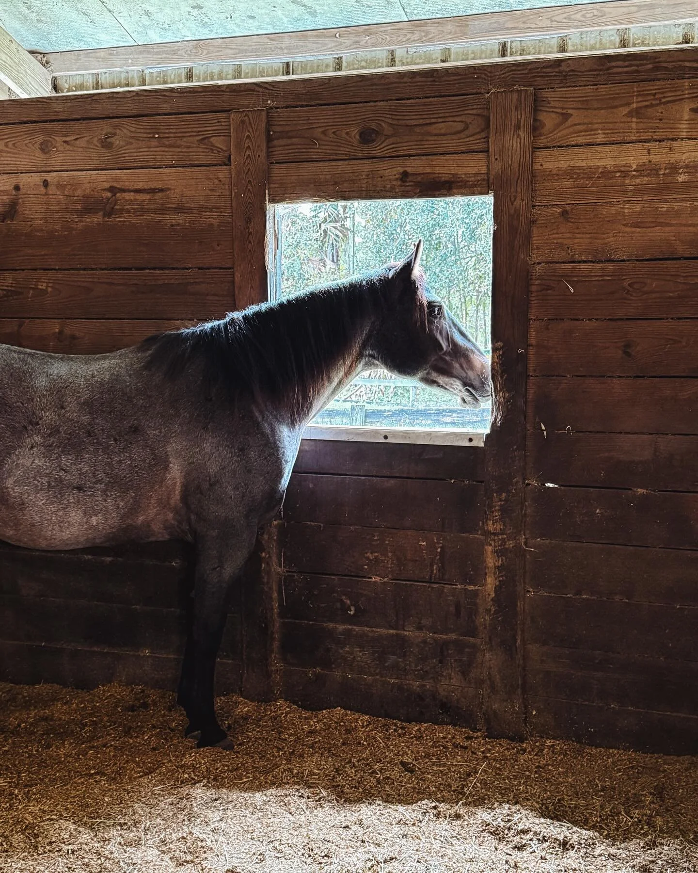 We&rsquo;ve been working behind the scenes to bring even cooler classics to you 🤎 Can&rsquo;t wait to share so soon!