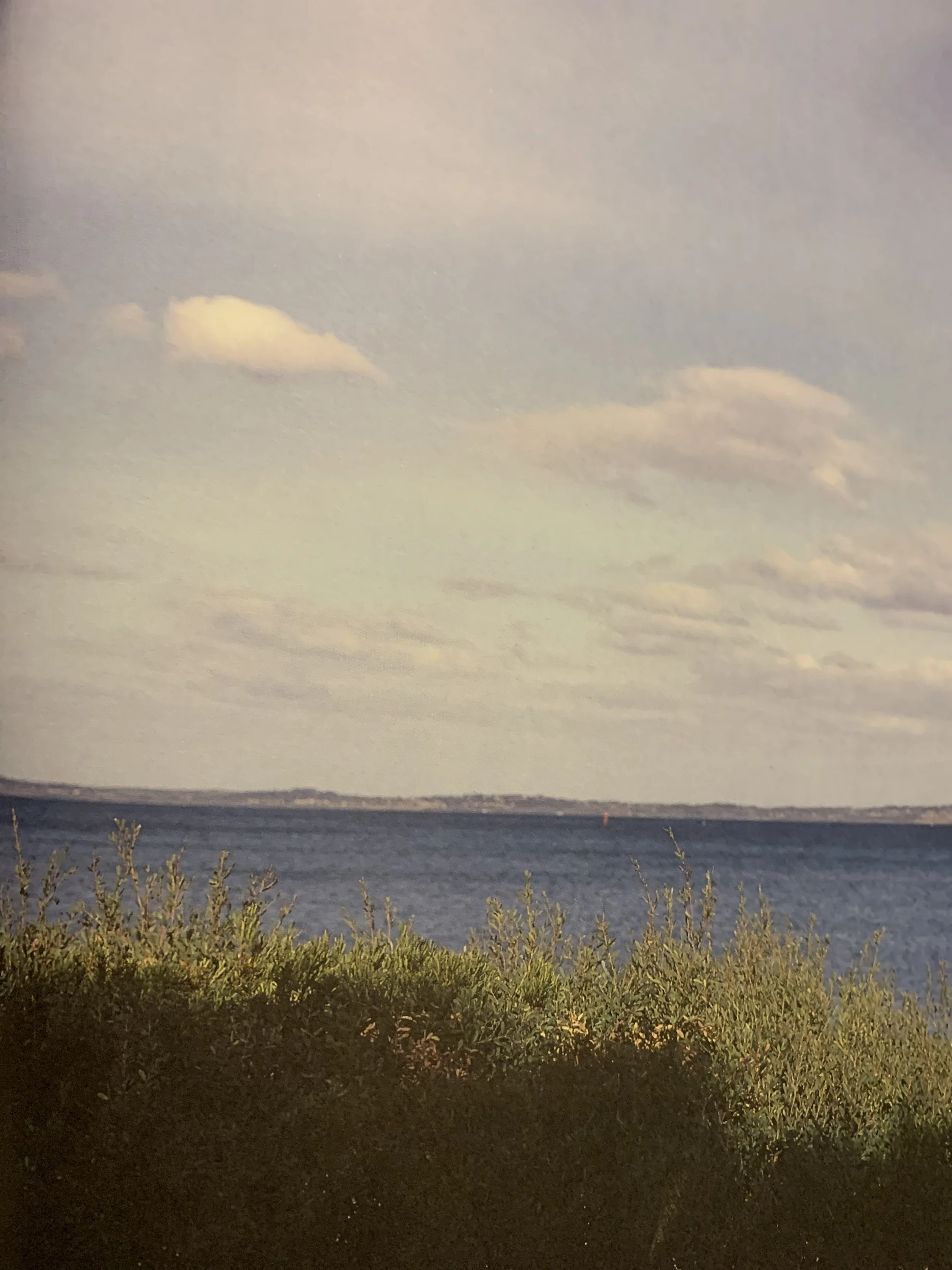 IMG_6054.jpeg