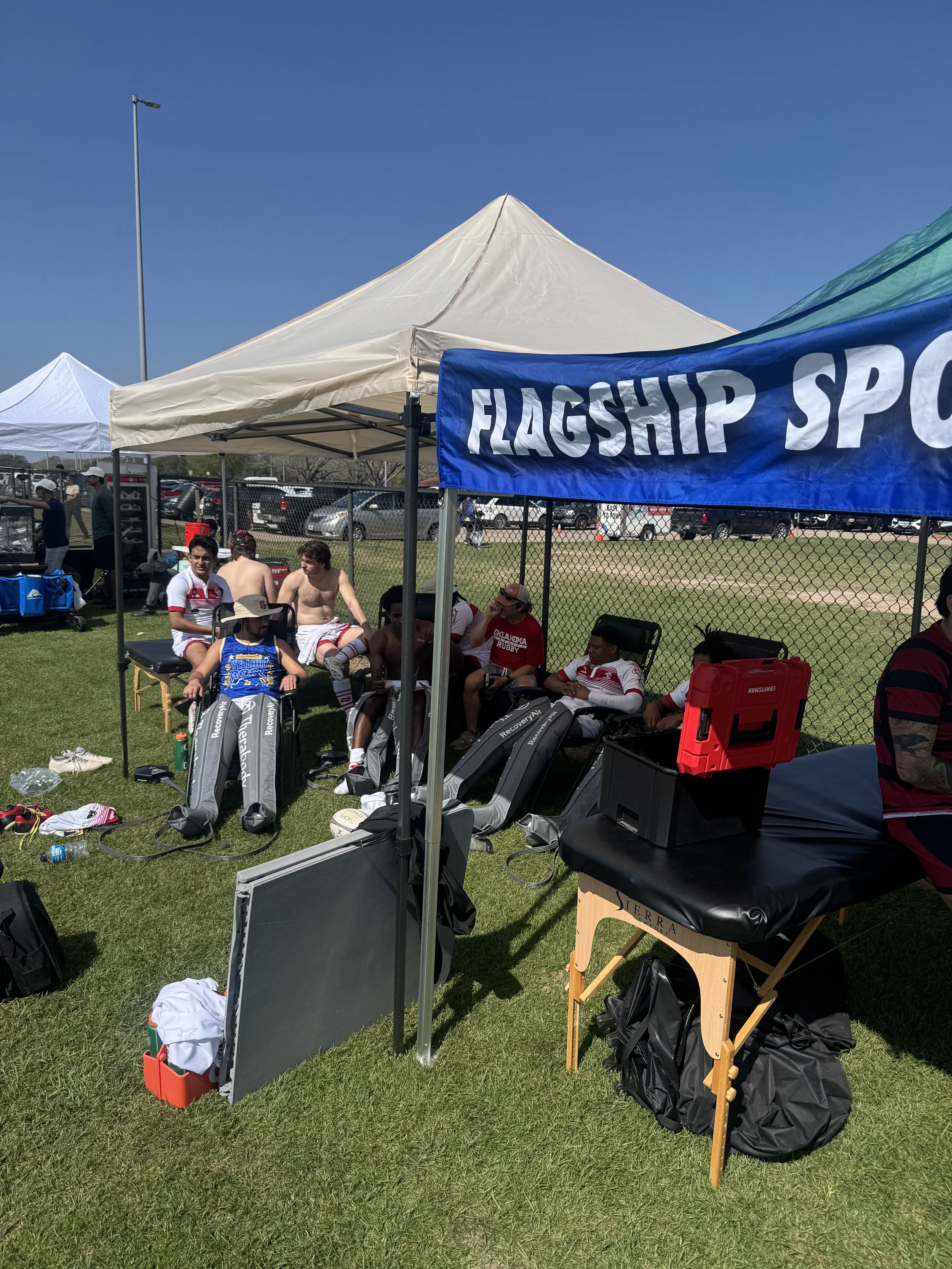 Yellow rose showcase 2026