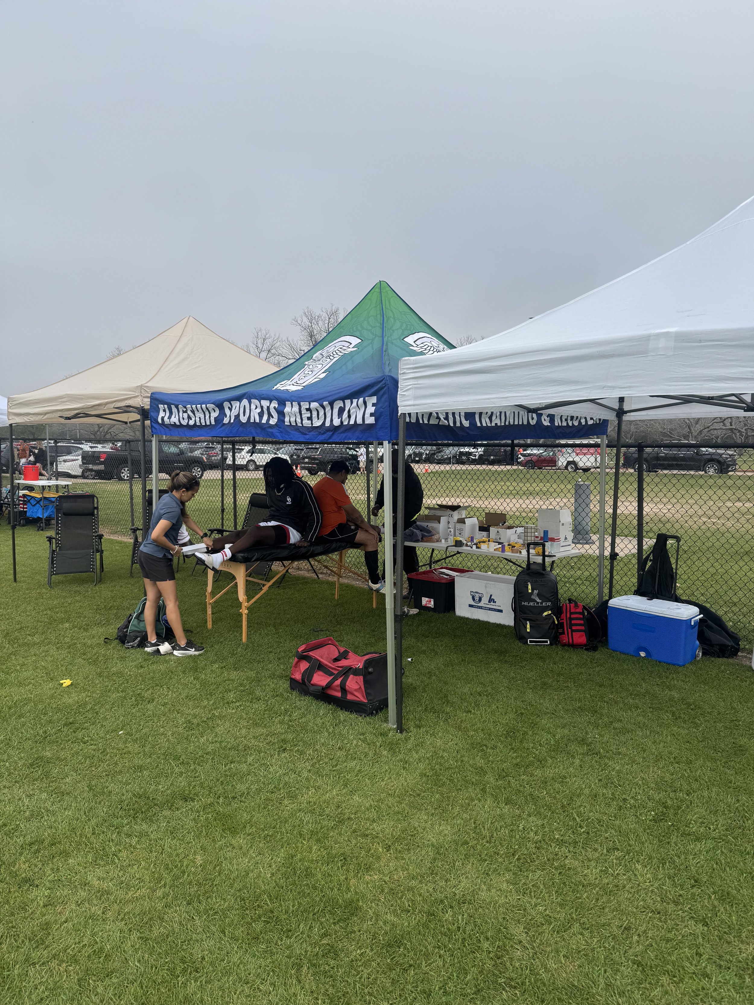 Yellow rose showcase 2026