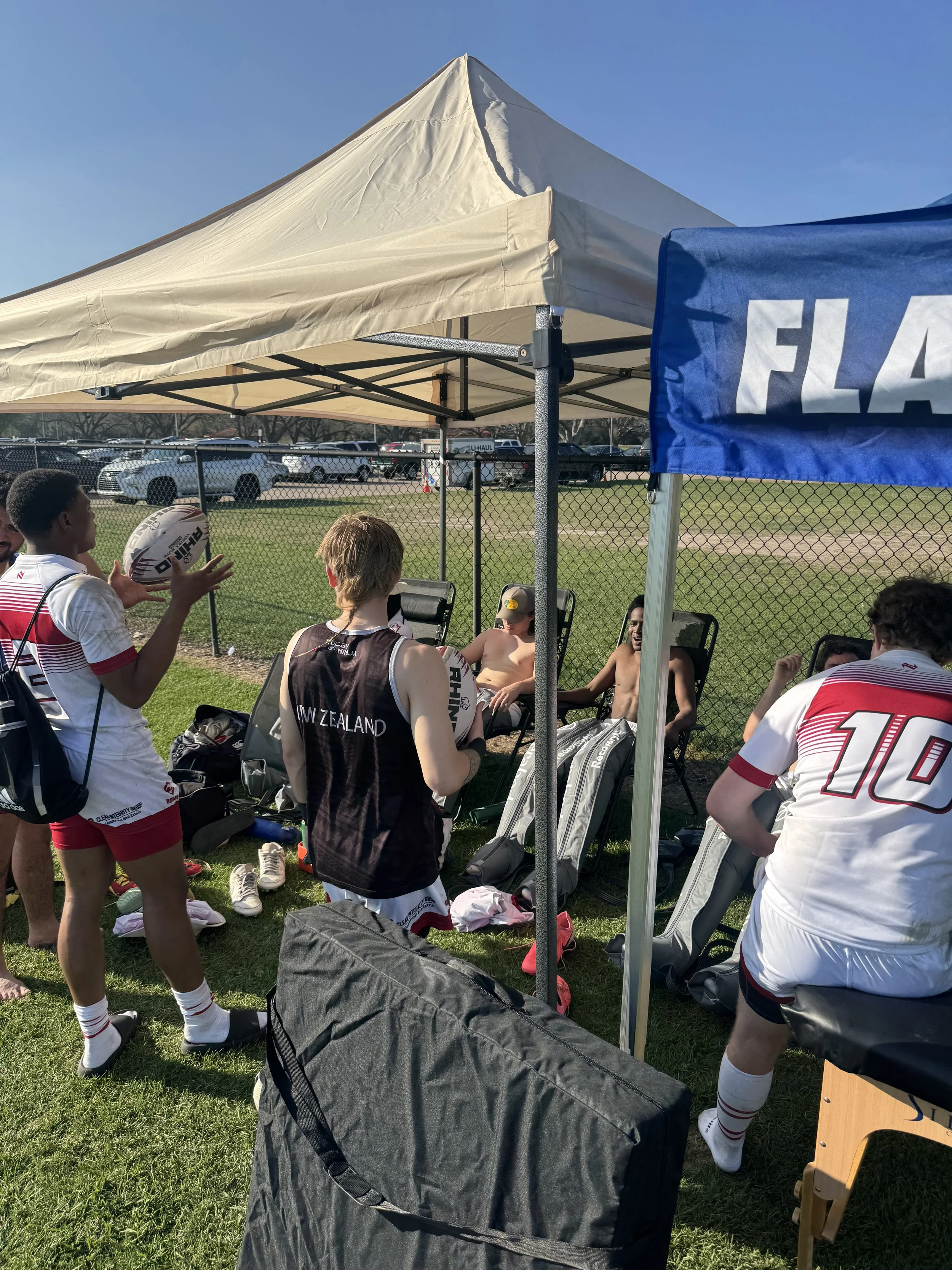 Yellow rose showcase 2026