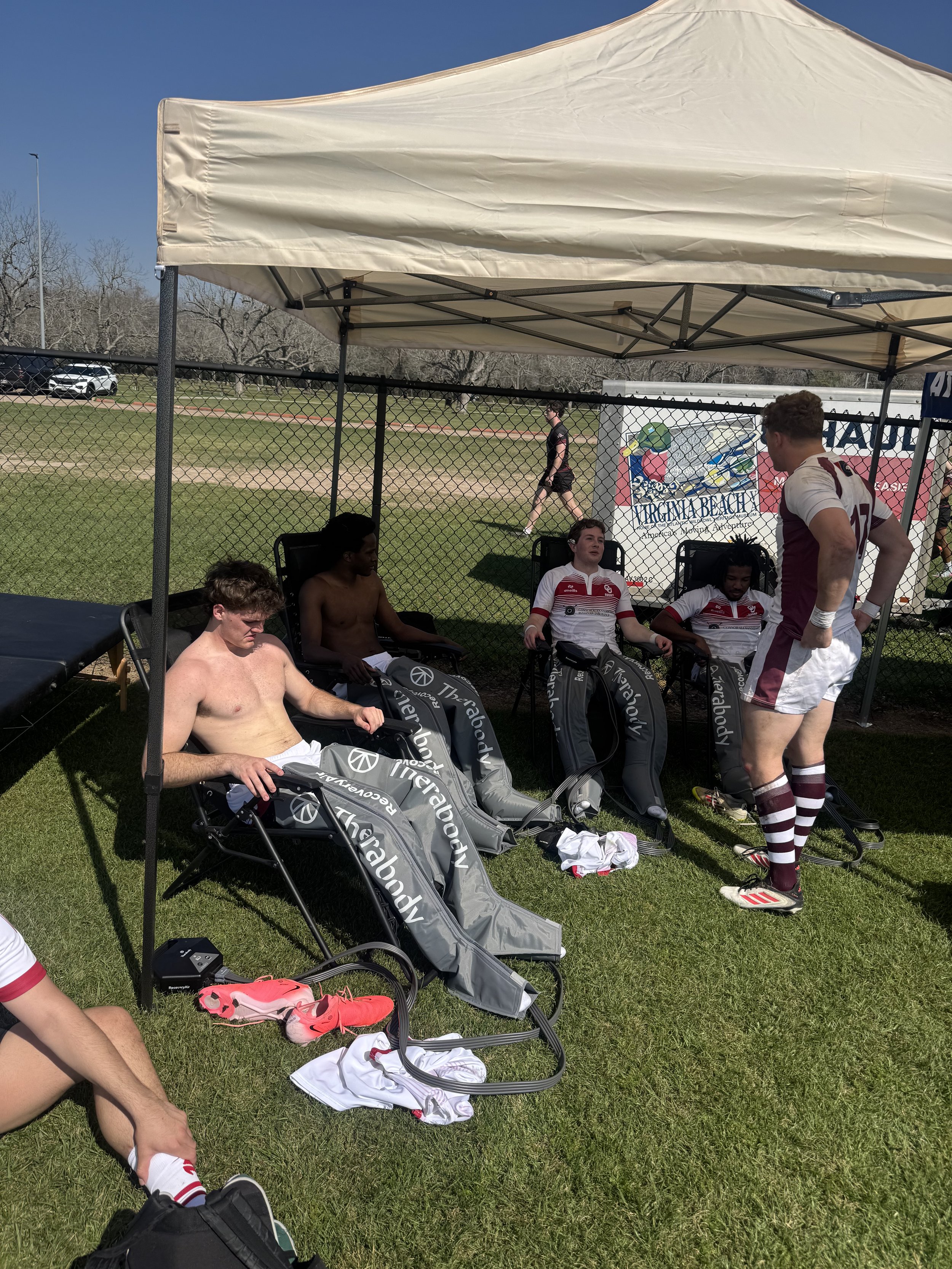 Yellow rose showcase 2026