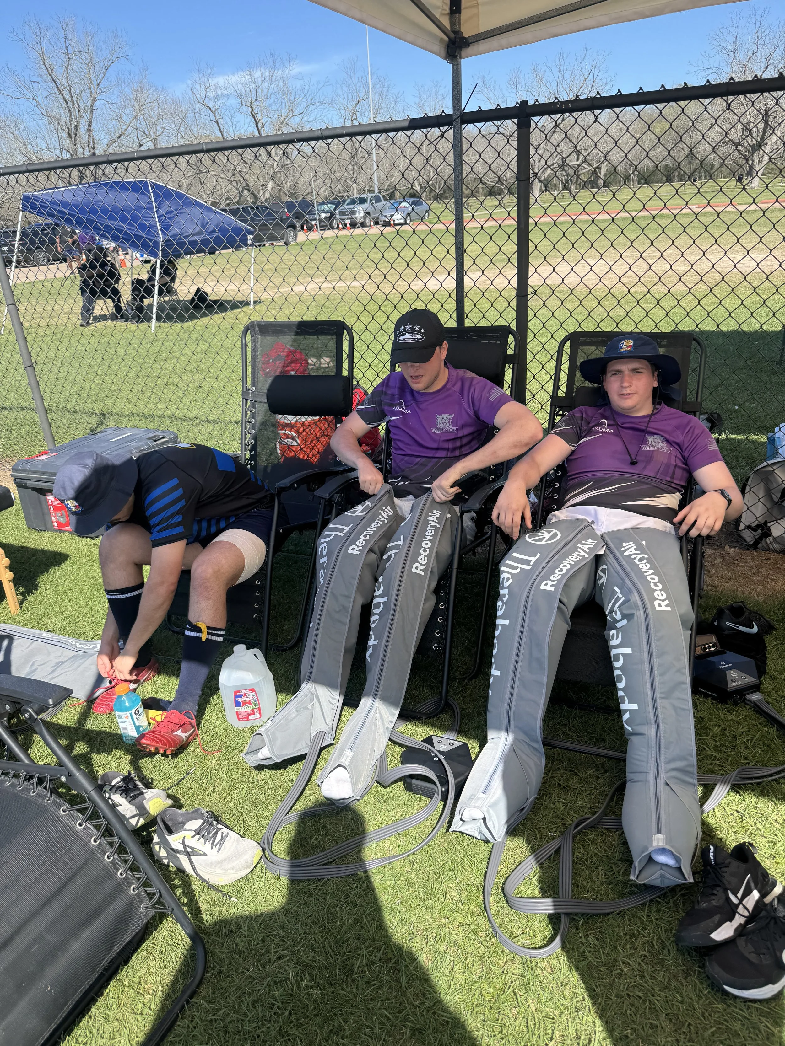 Yellow rose showcase 2026