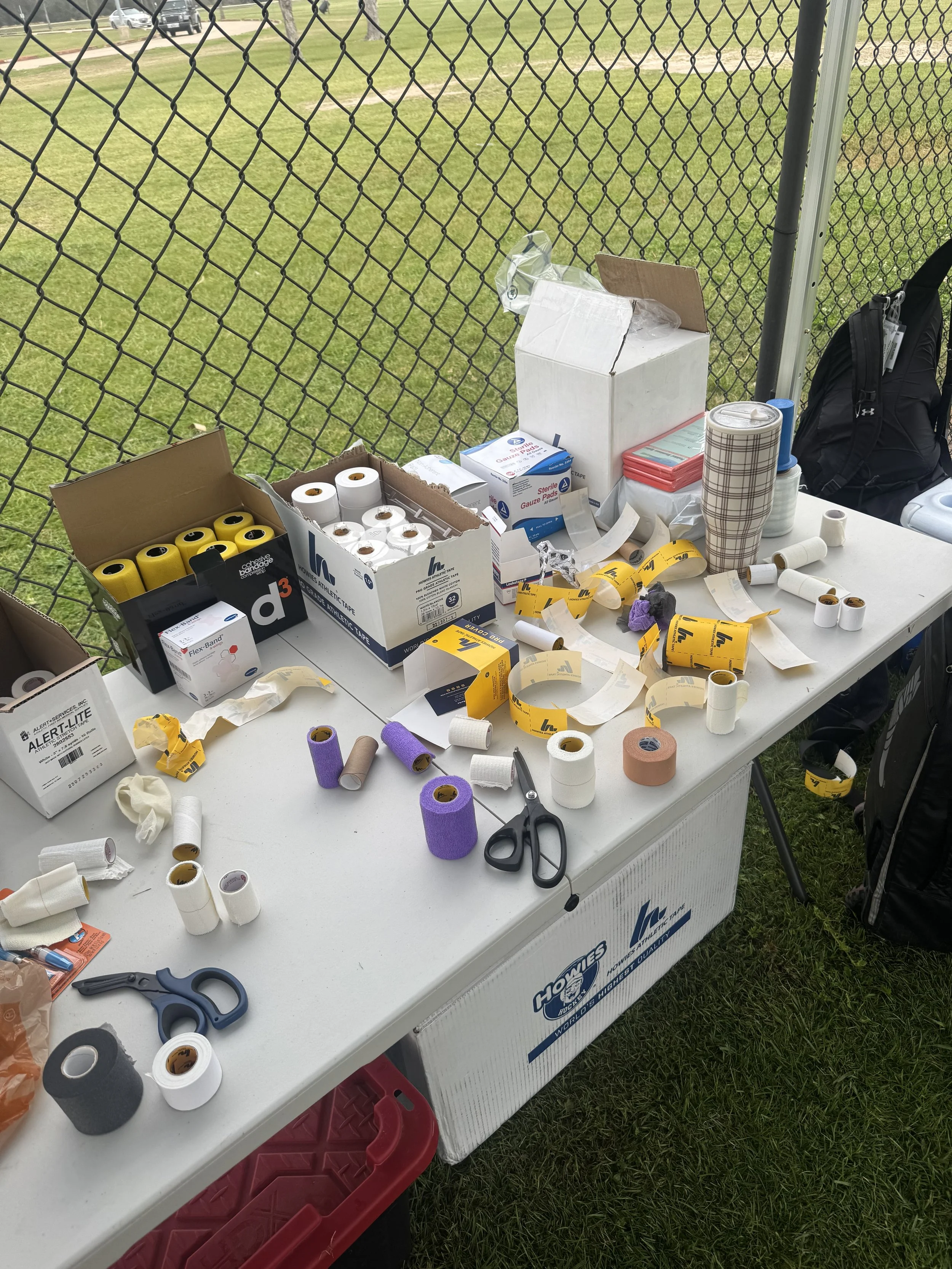 Yellow rose showcase 2026