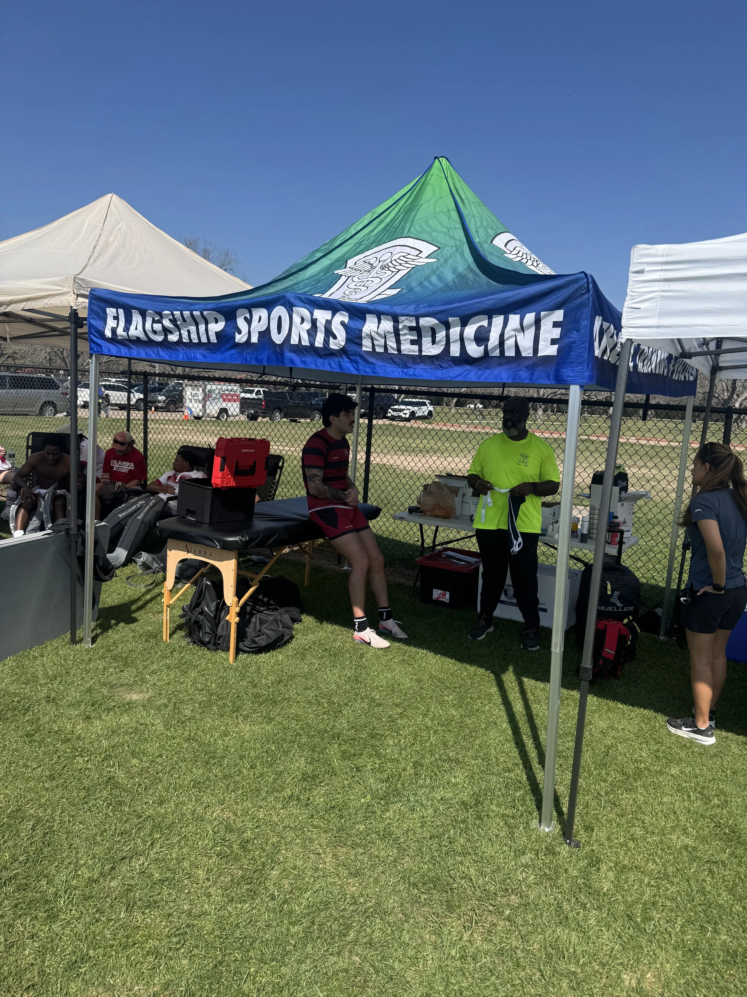 Yellow rose showcase 2026