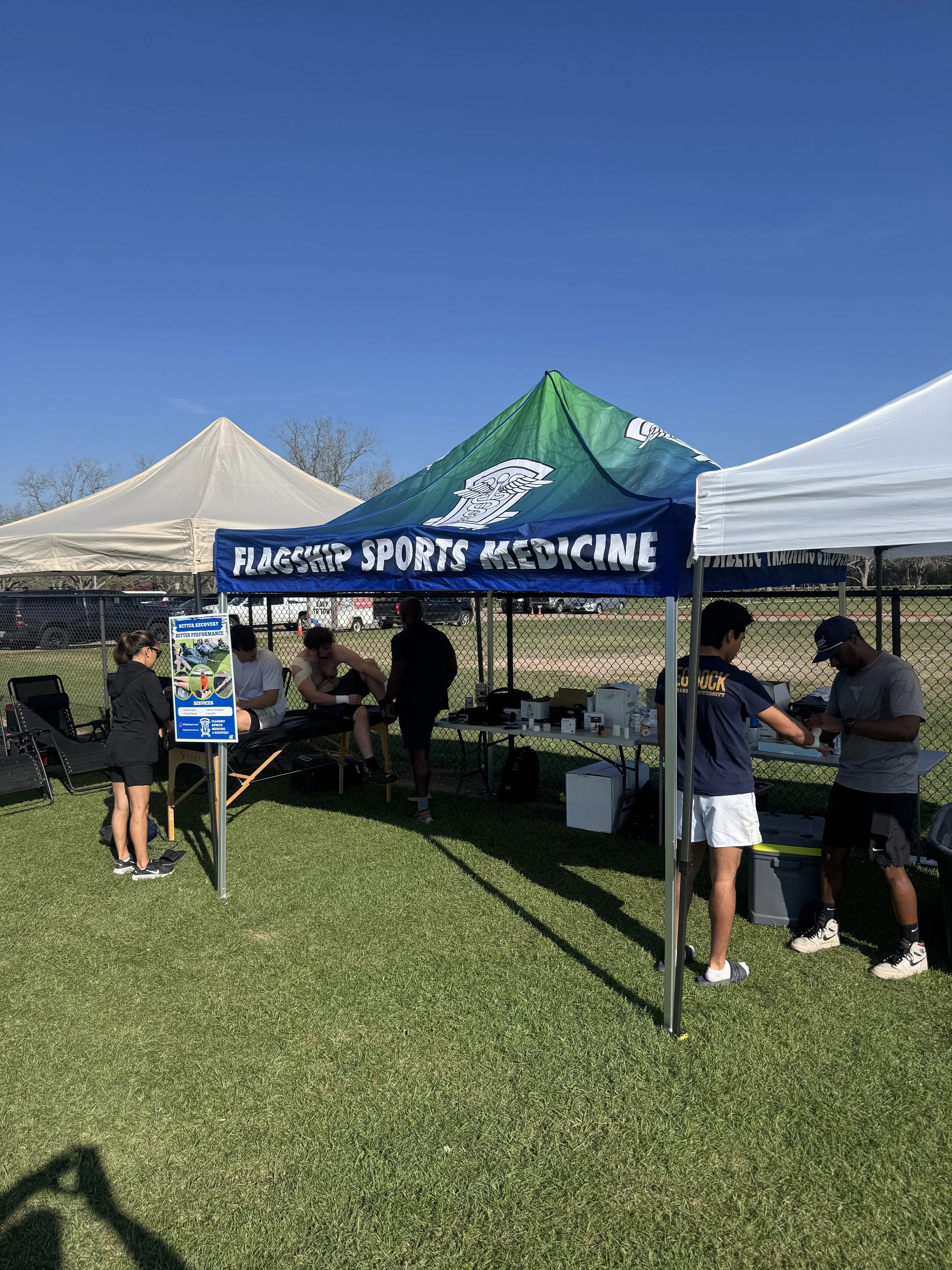 Yellow rose showcase 2026