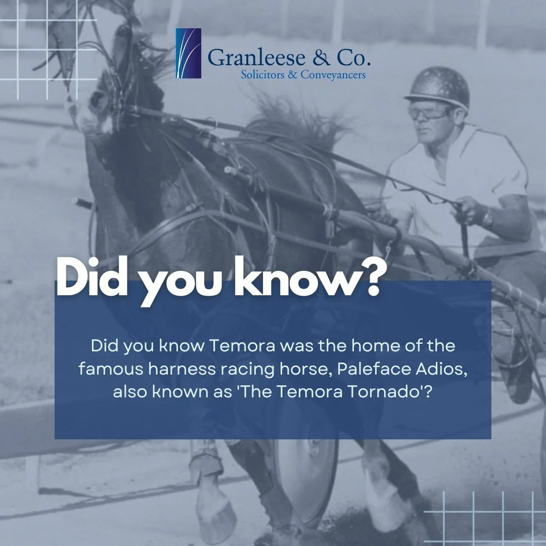 Do you have any stories about Paleface Adios or harness racing? We would love to hear them in the comments! 

#temora #harnessracing #granleeseandco #palefaceadios #temoratornado