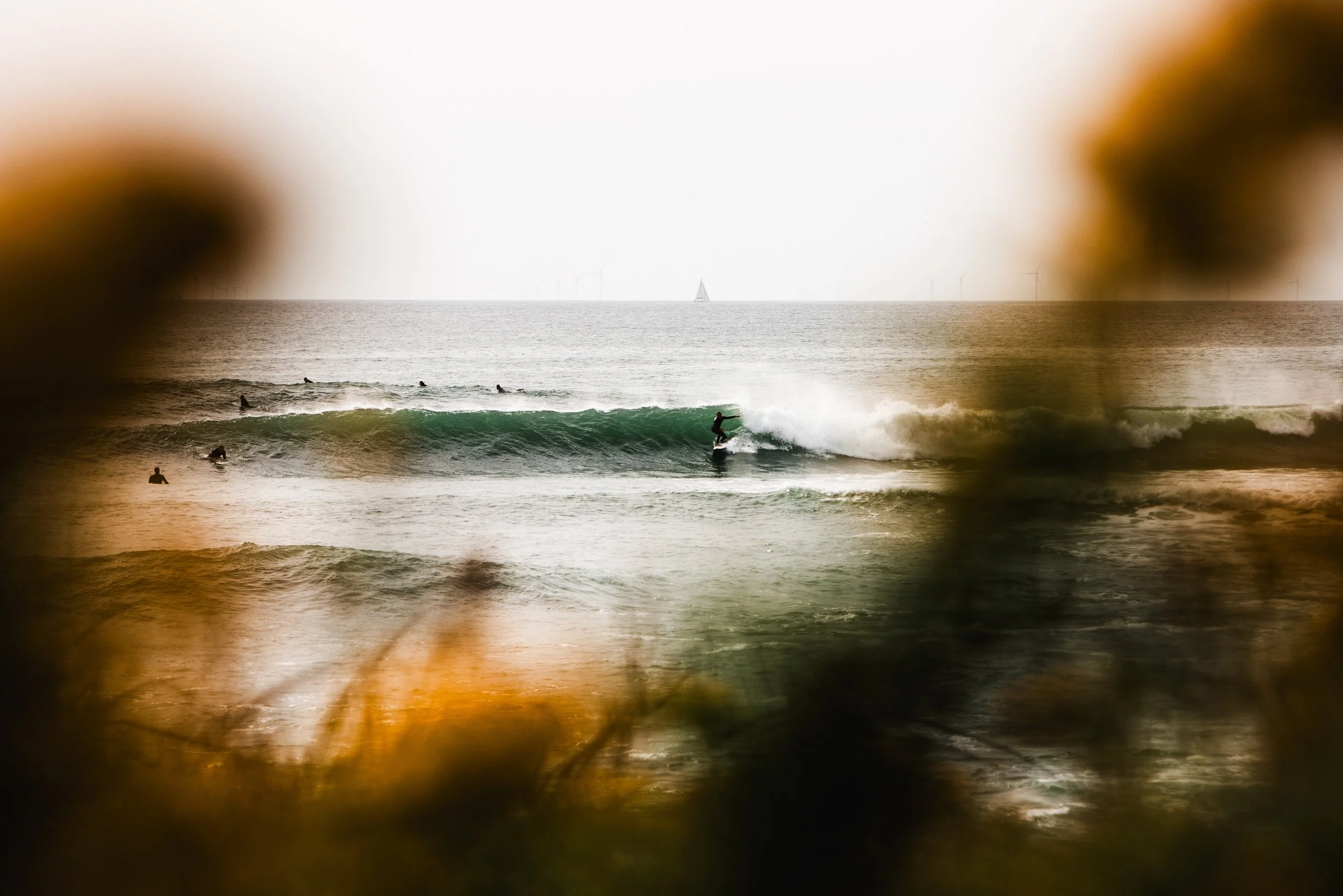 nolaneastmanphoto-1801 2.jpg