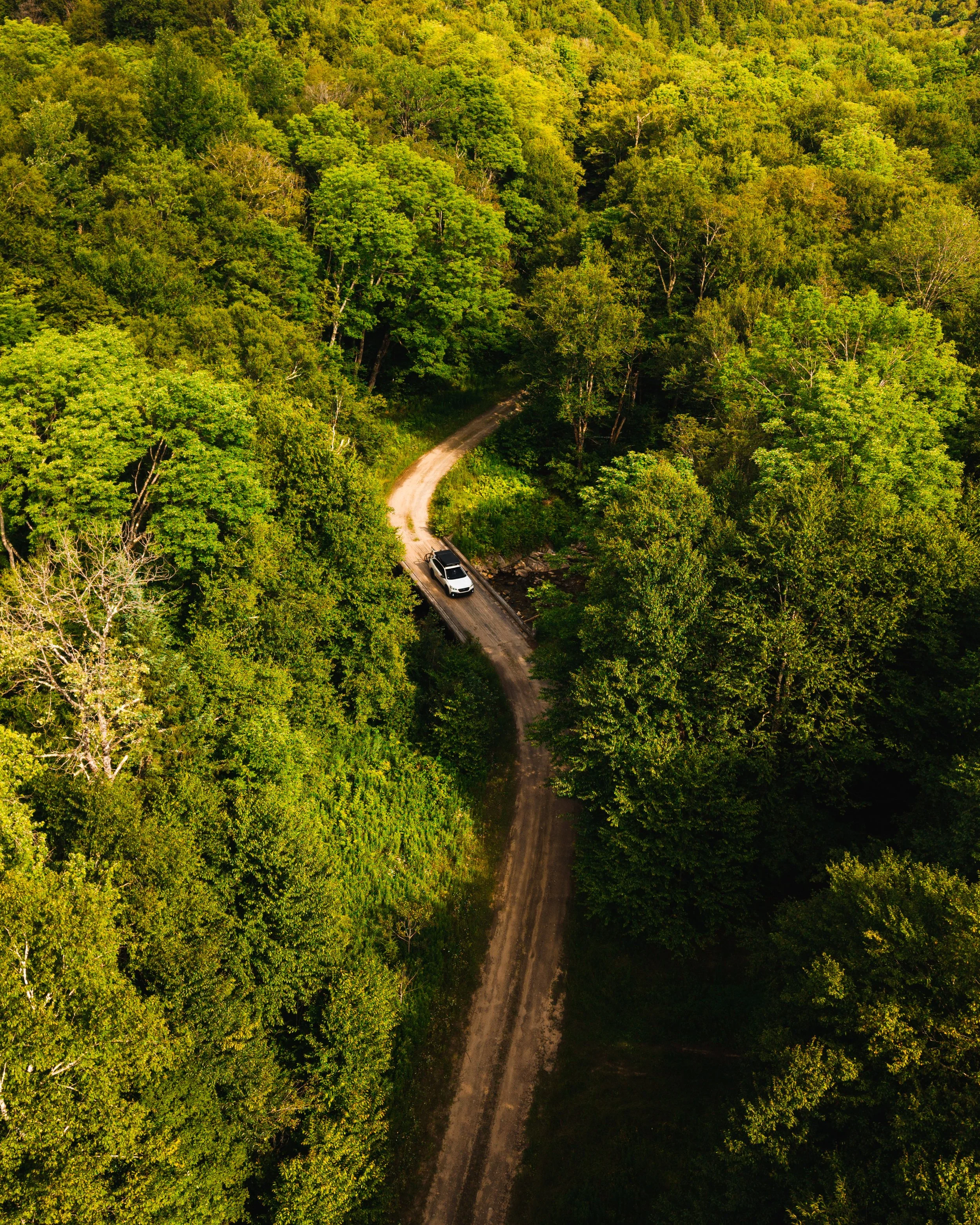 nolaneastmanphoto--5.jpg