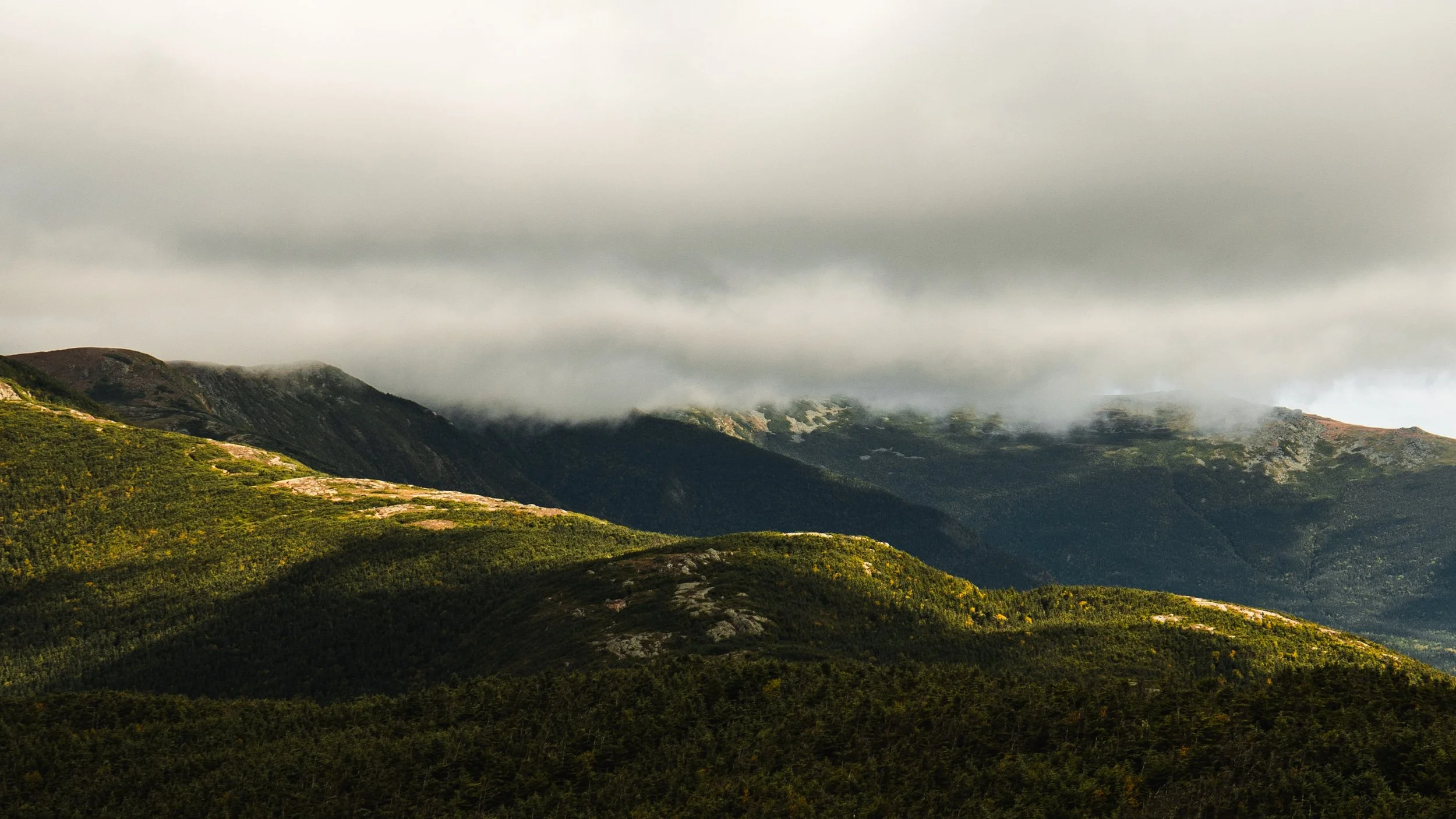 nolaneastmanphoto-2037.jpg
