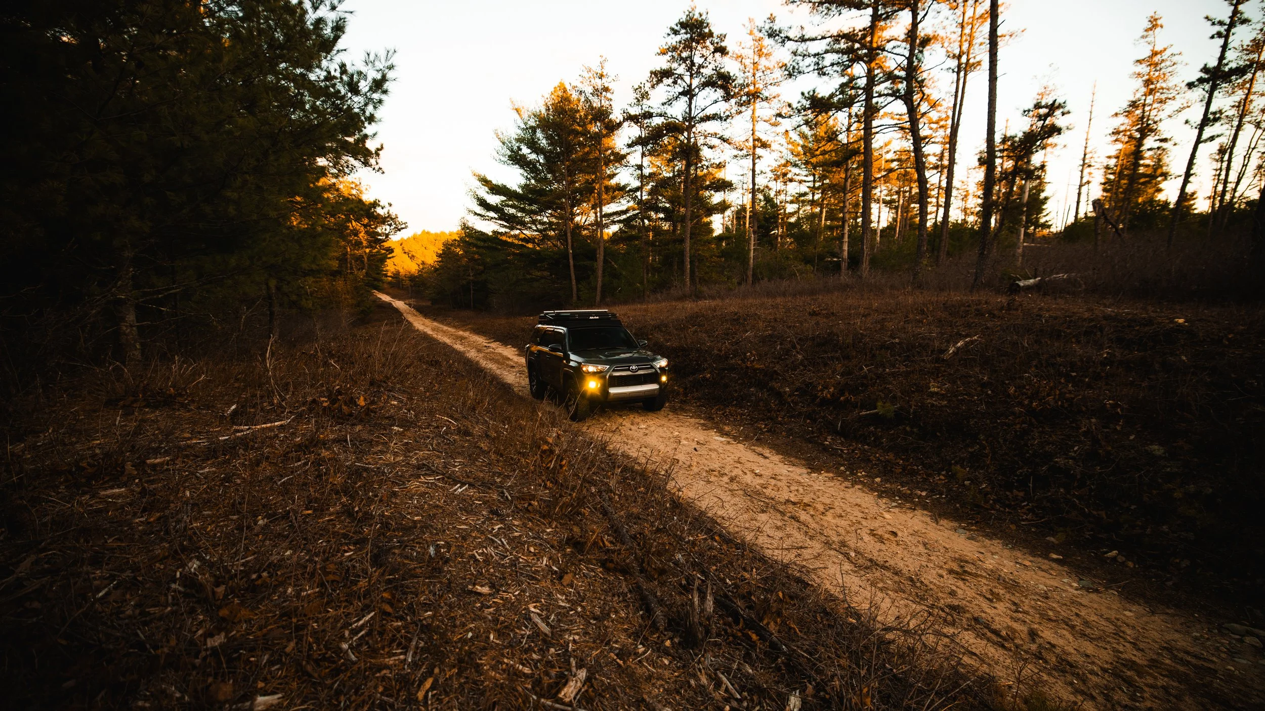 nolaneastmanphoto-2685.jpg