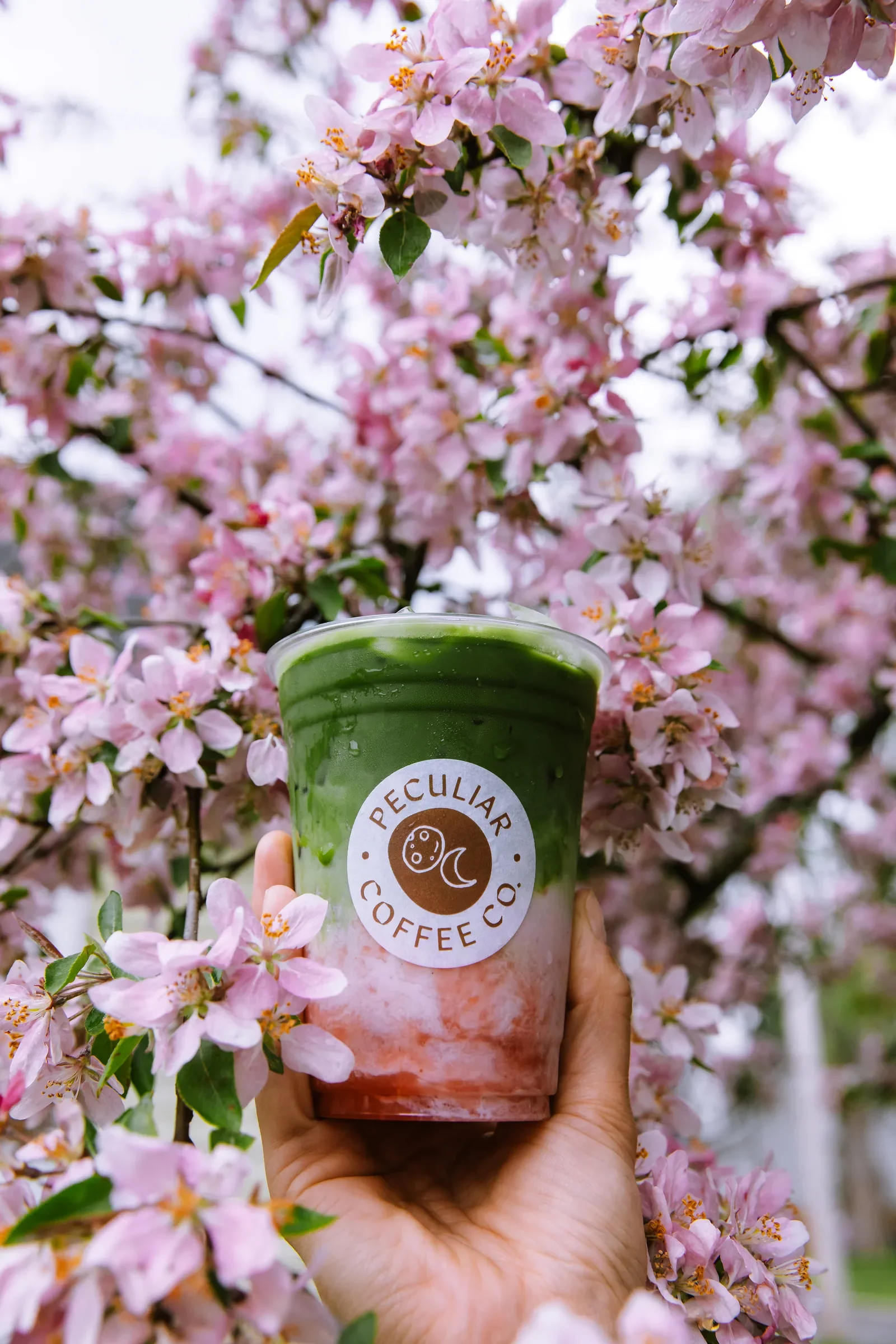 drink-matcha-pink-blossoms-06.webp