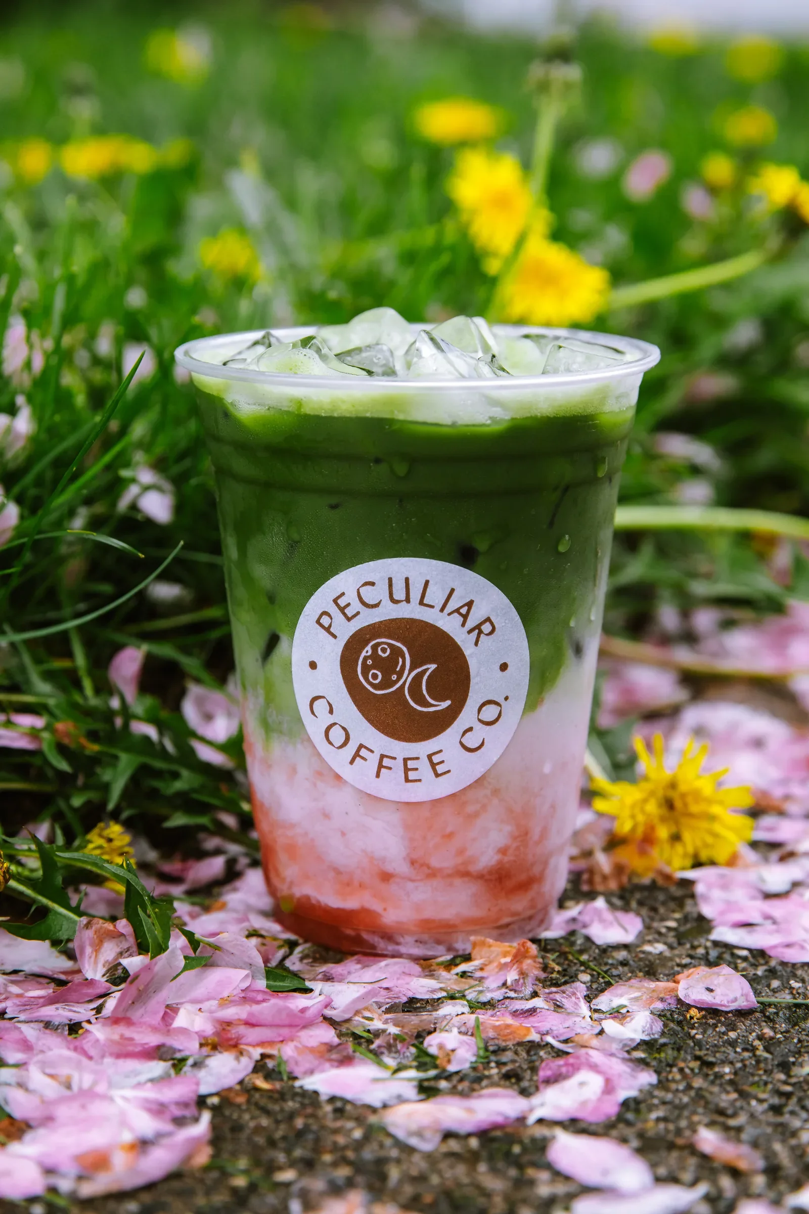drink-petal-sidewalk-07.webp