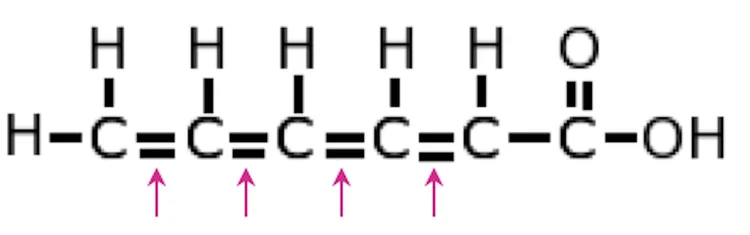 Molecular structure diagram of a polyunsaturated fat