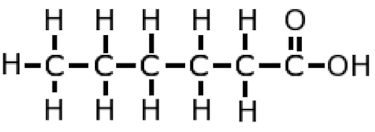 Molecular structure diagram of a saturated fat