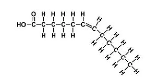 Molecular structure diagram of a trans unsaturated fat