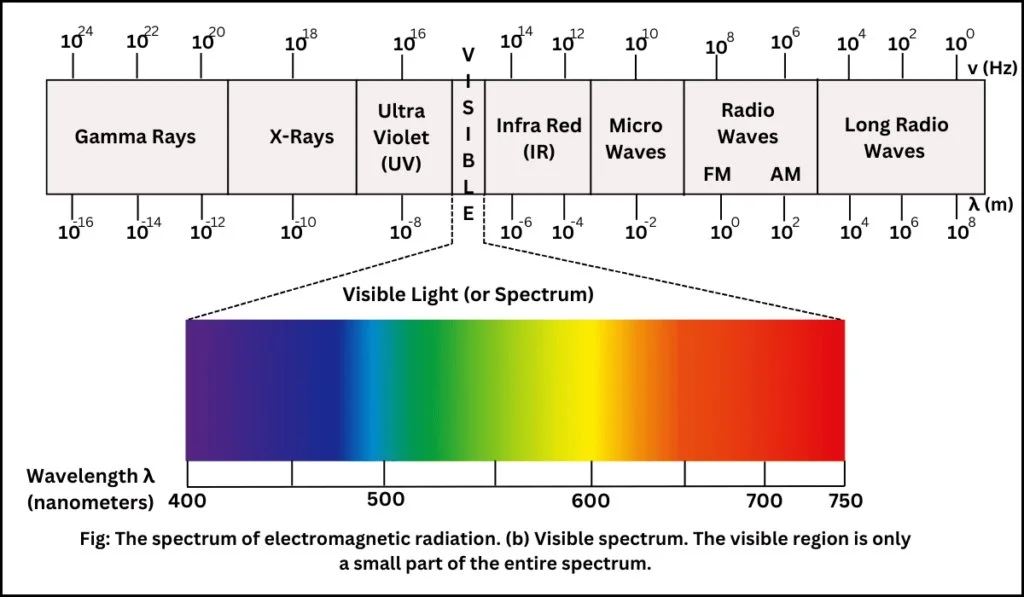 Diagram showing the electromagnetic spectrum with labeled sections for Gamma Rays, X-Rays, Ultraviolet, Visible Light, Infrared, Micro Waves, Radio Waves, and Long Radio Waves. The visible light spectrum is highlighted, ranging from approximately 400 to 750 nanometers, with a color gradient from purple to red.