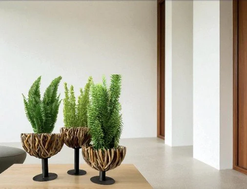 The Forestier’s Vases