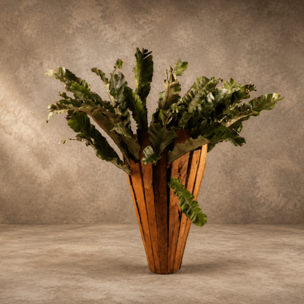 The Fillet Planters