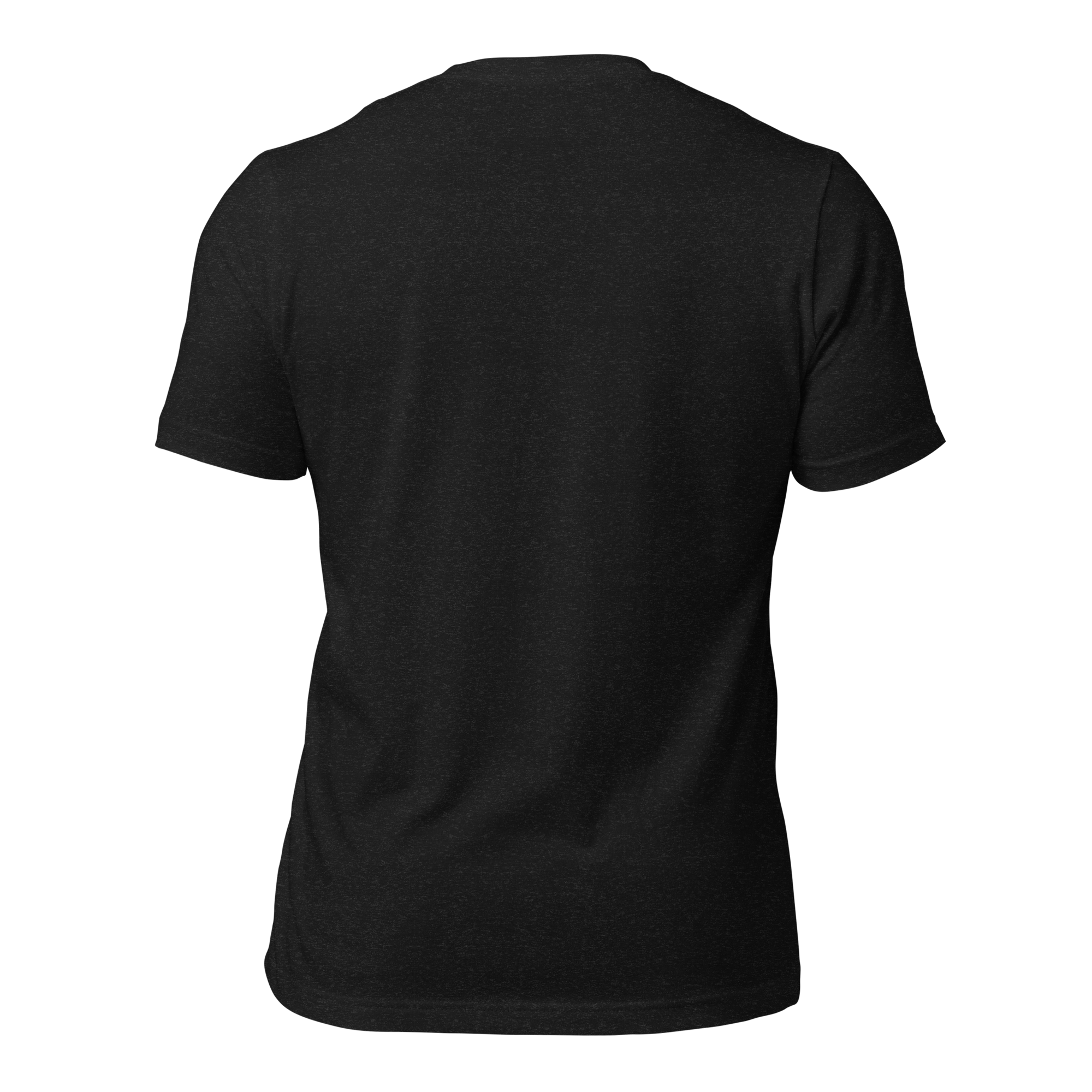 unisex-staple-t-shirt-black-heather-back-6780a0963b250.png