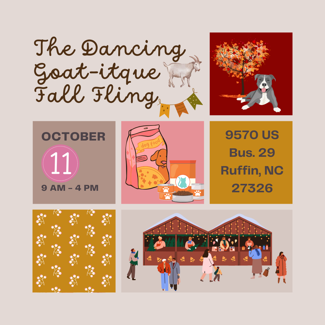 Rocky’s Bark Bunch @ The Dancing Goat-tique’s Fall Festival