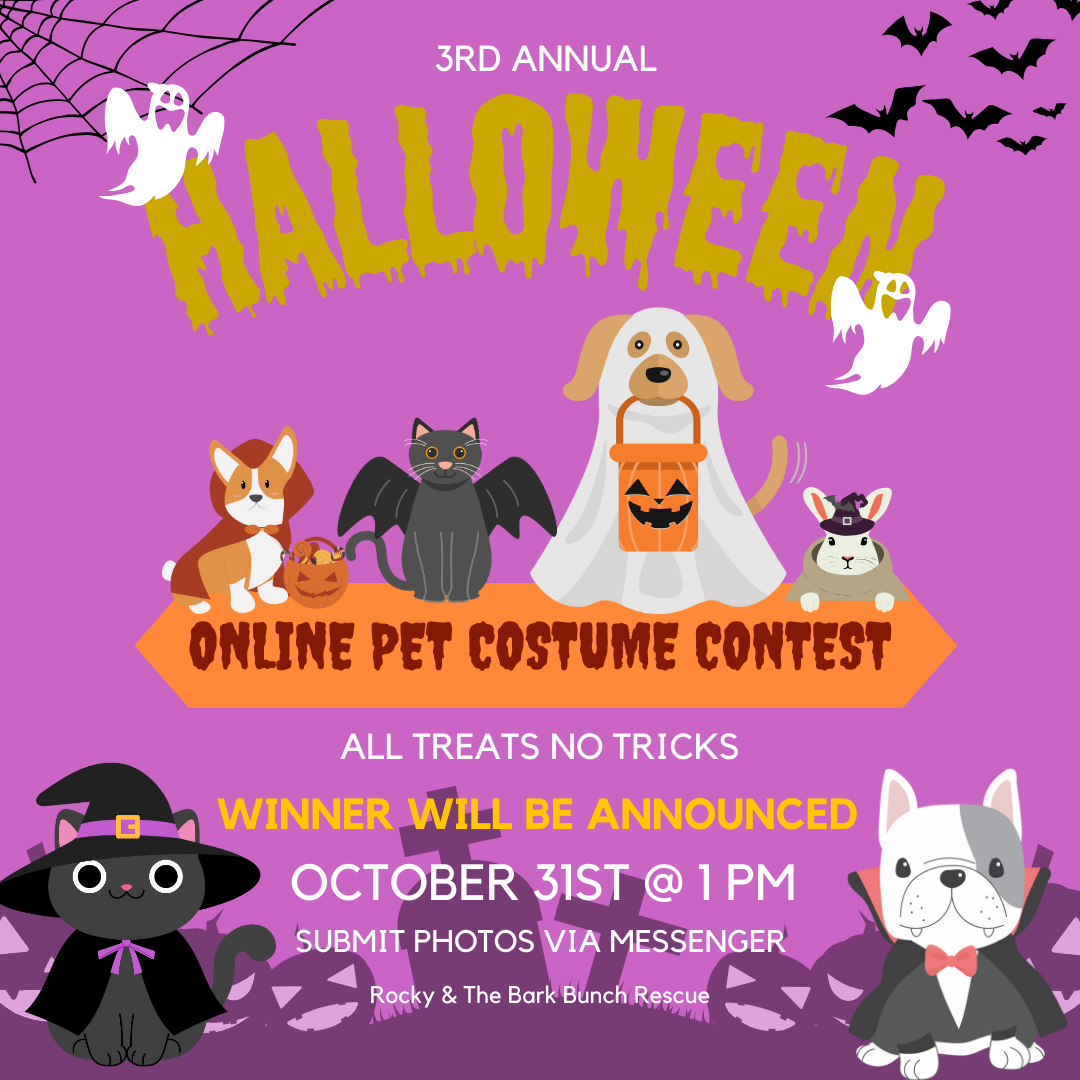 3rd Annual Pet Halloween Online Costume Contest