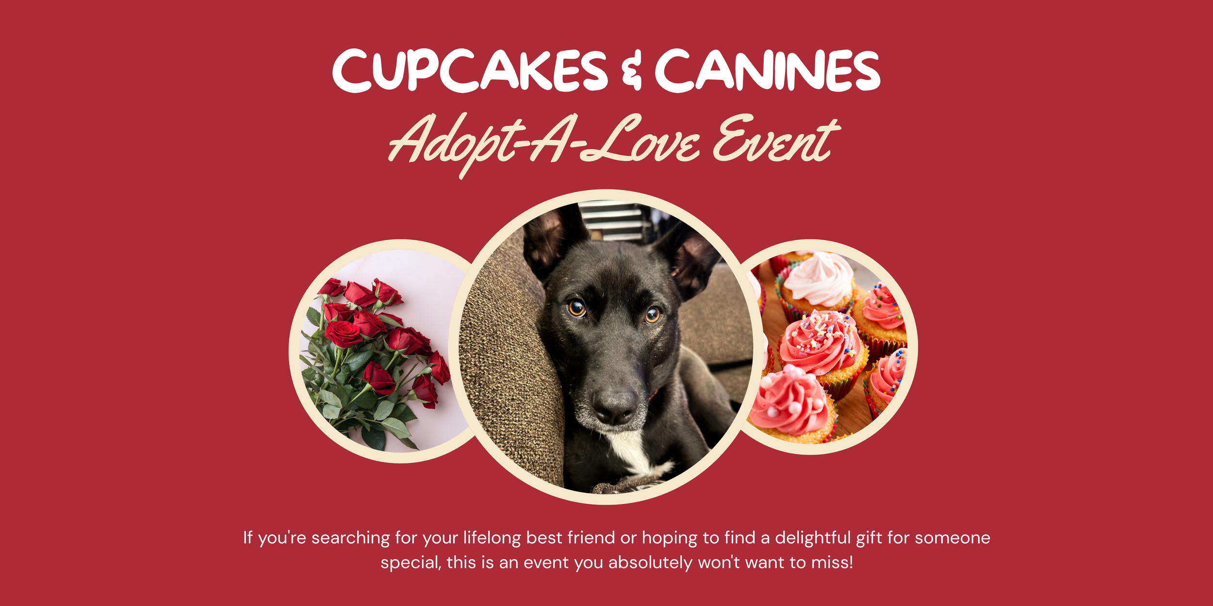 Cupcakes & Canines Adopt-A-Love Event