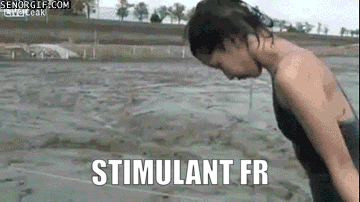 LIVELEAK SUMMER