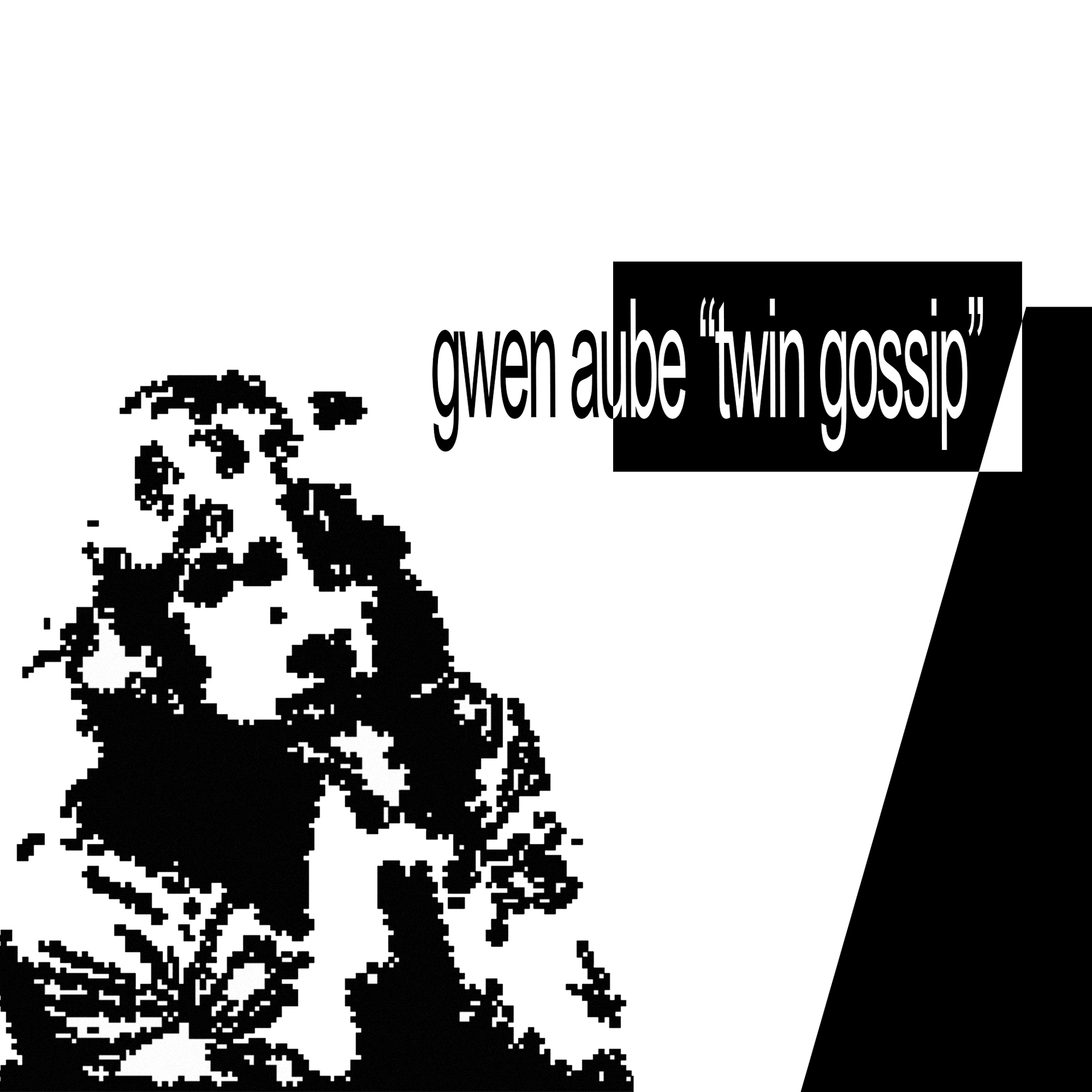 TWIN GOSSIP