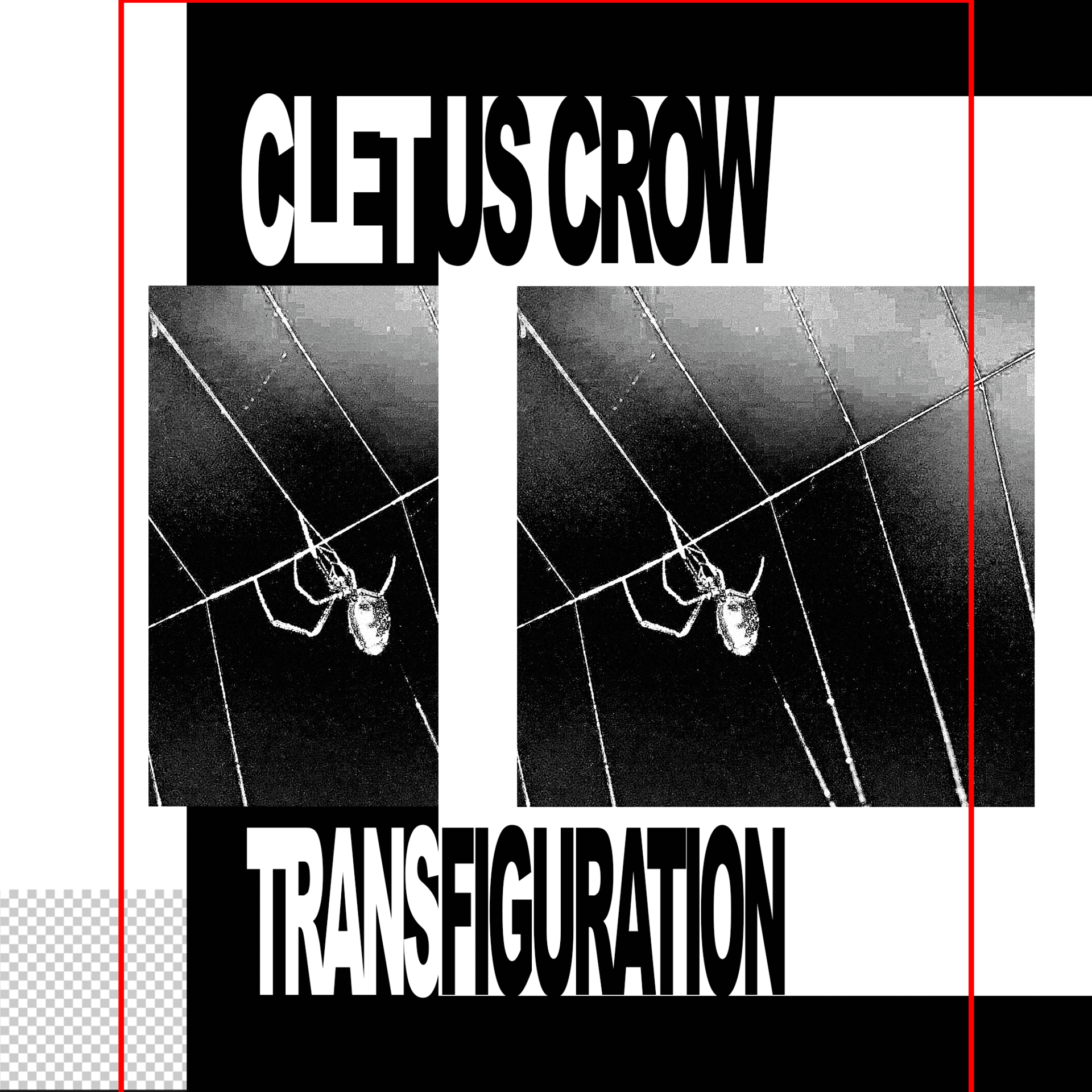 TRANSFIGURATION / KOI